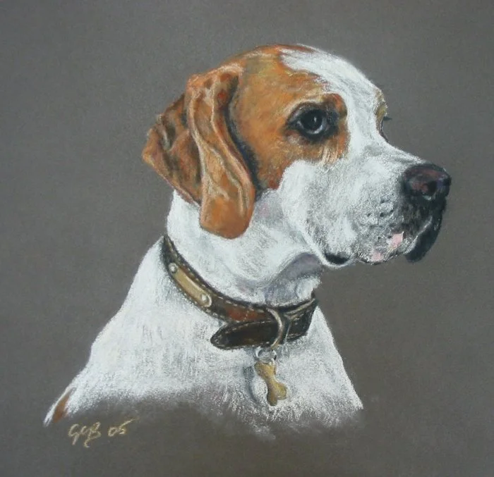 Dog with Collar.jpeg