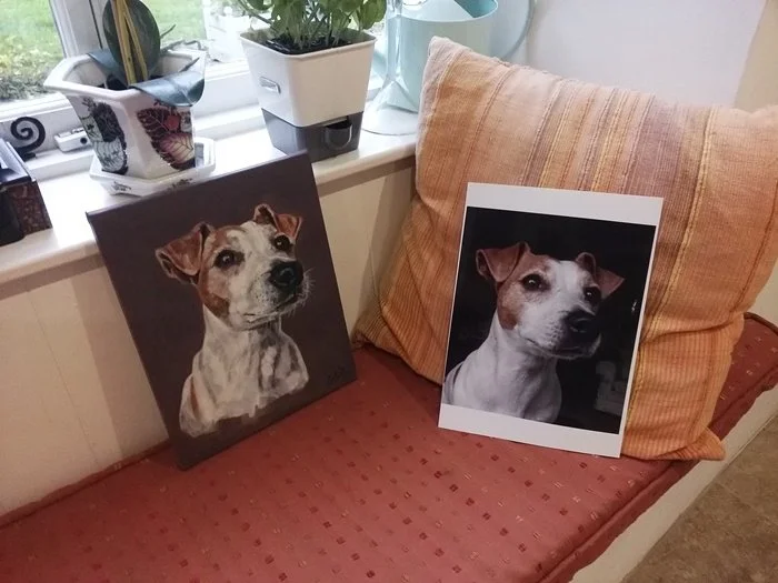 Twiglet plus photo.jpeg