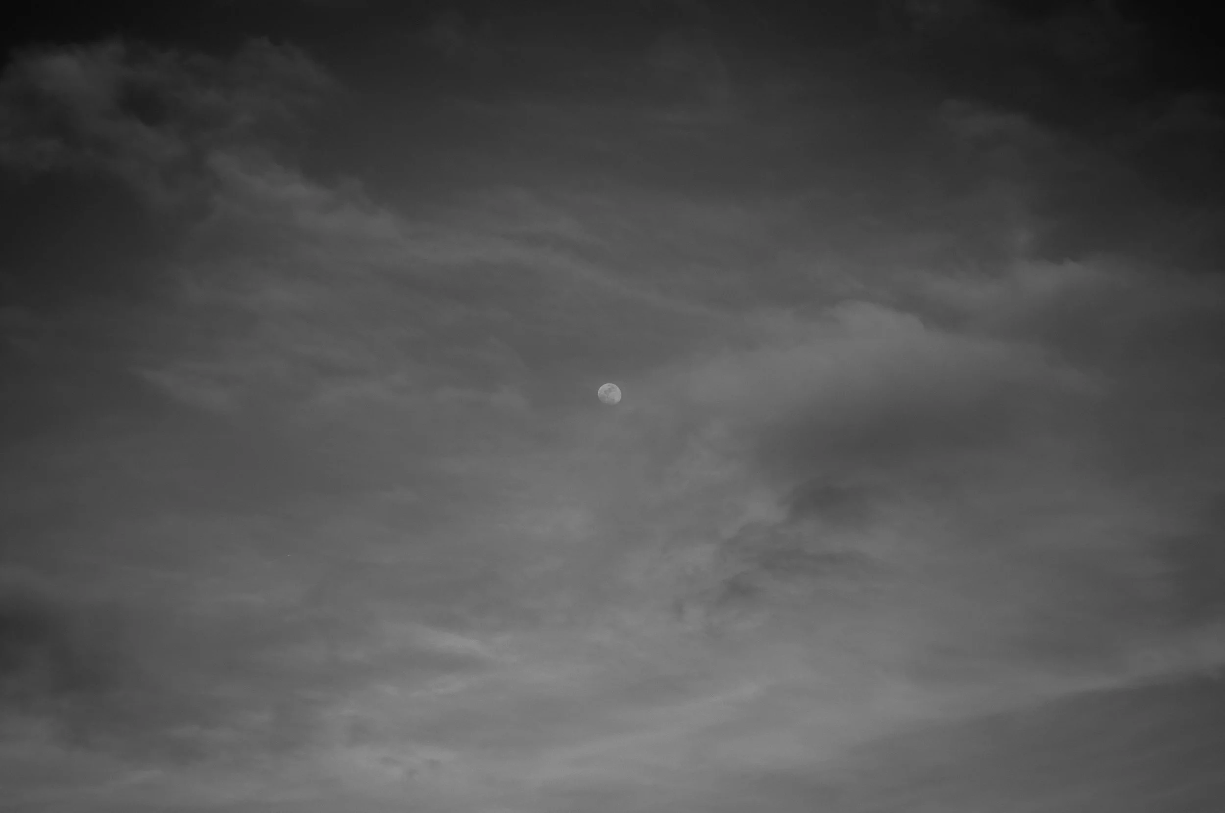 D90 Fun Day-3.jpg