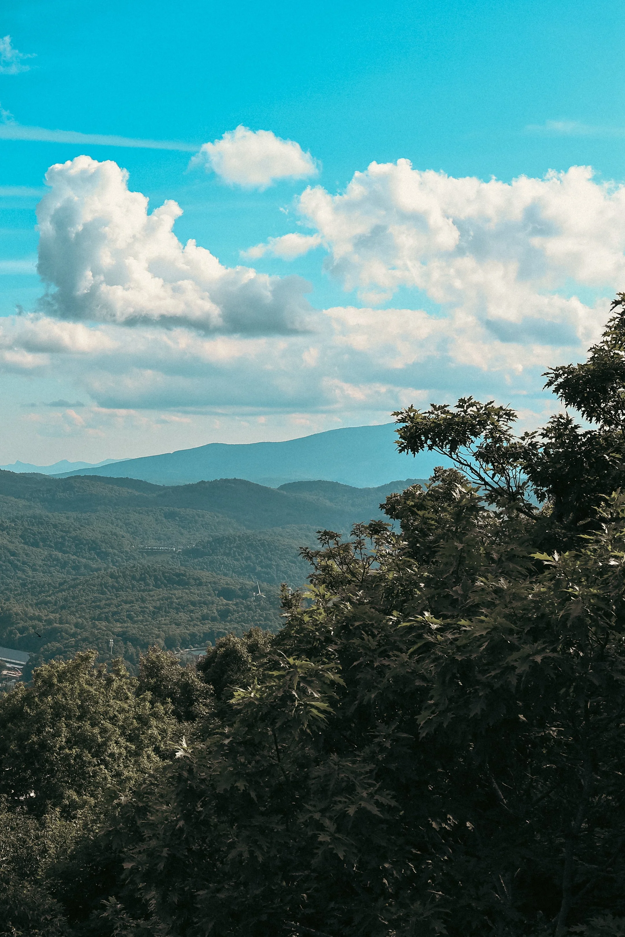 parkway july 2026-43.jpg