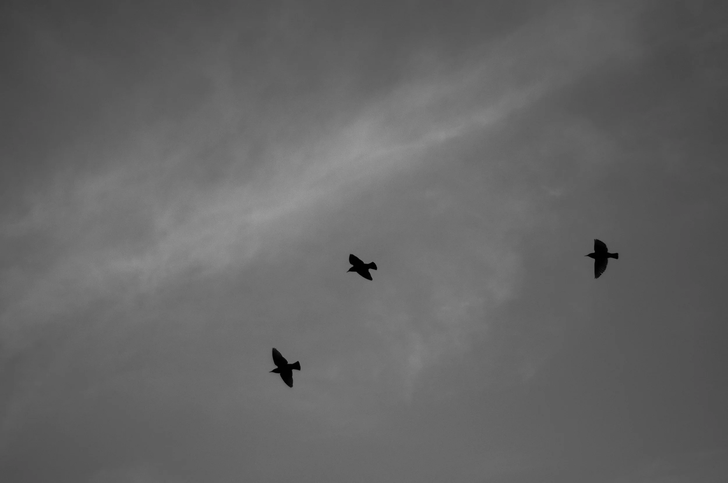 D90 Fun Day-4.jpg