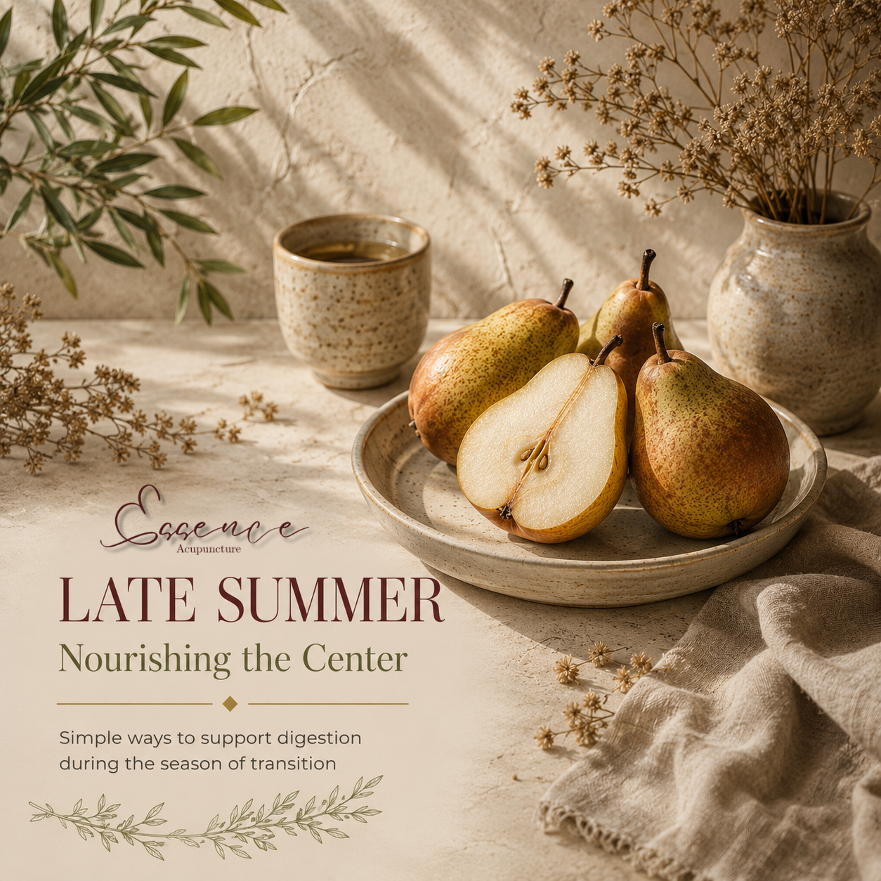 Nourishing the Earth Within: Supporting Digestion During Late Summer