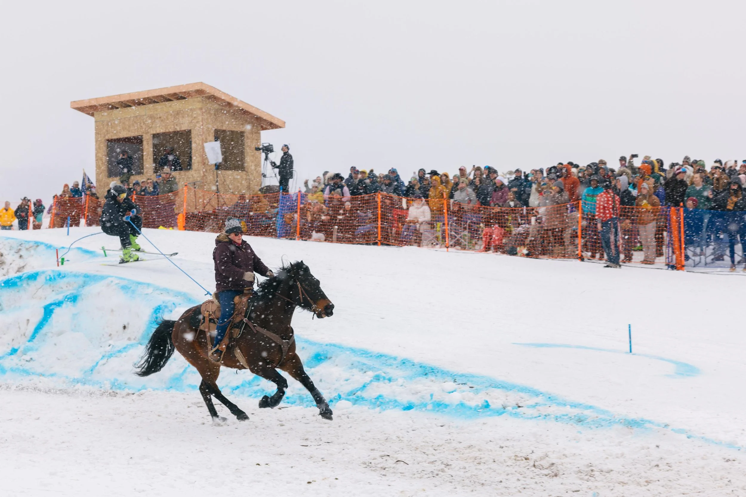 skijoring_andyaustin-6331 (web).jpg
