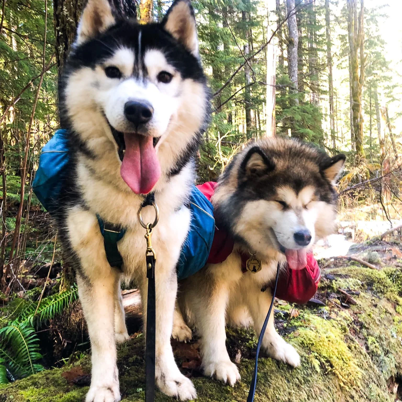 Group Hike