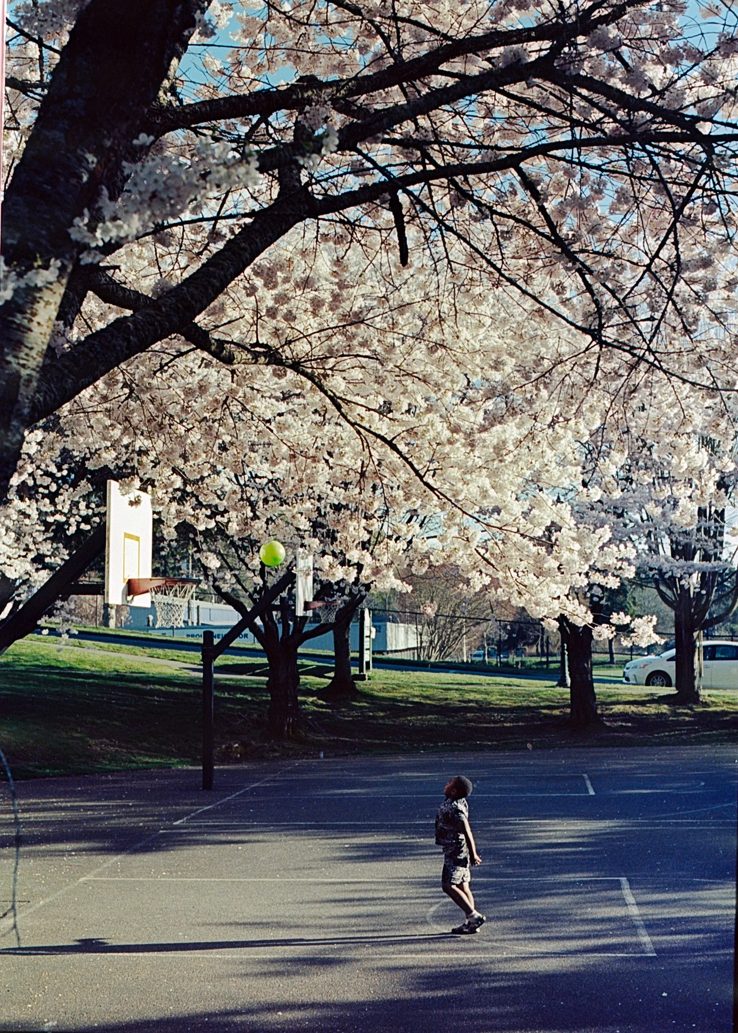 Camera: Nikon F3   Film : Ektar 100