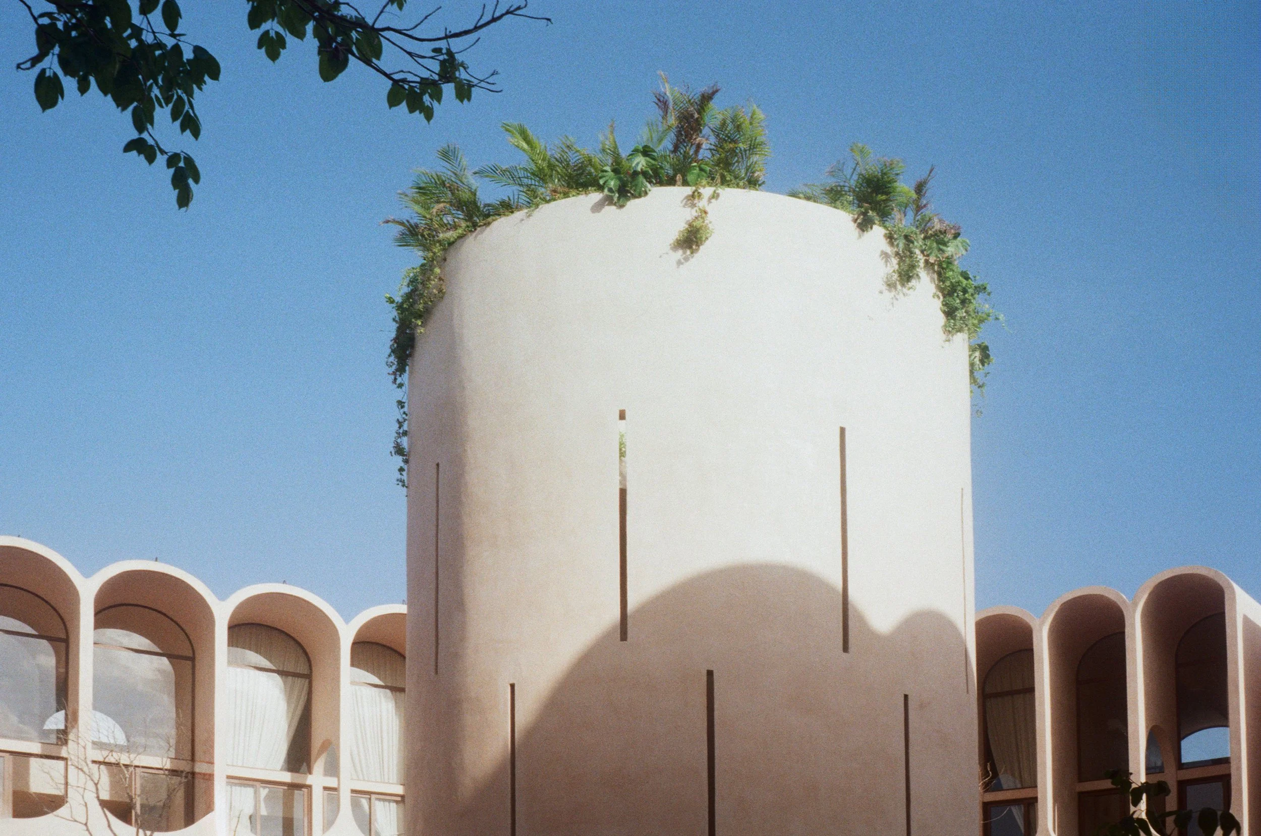 Camera: Olympus Trip 35  Film: Gold 200