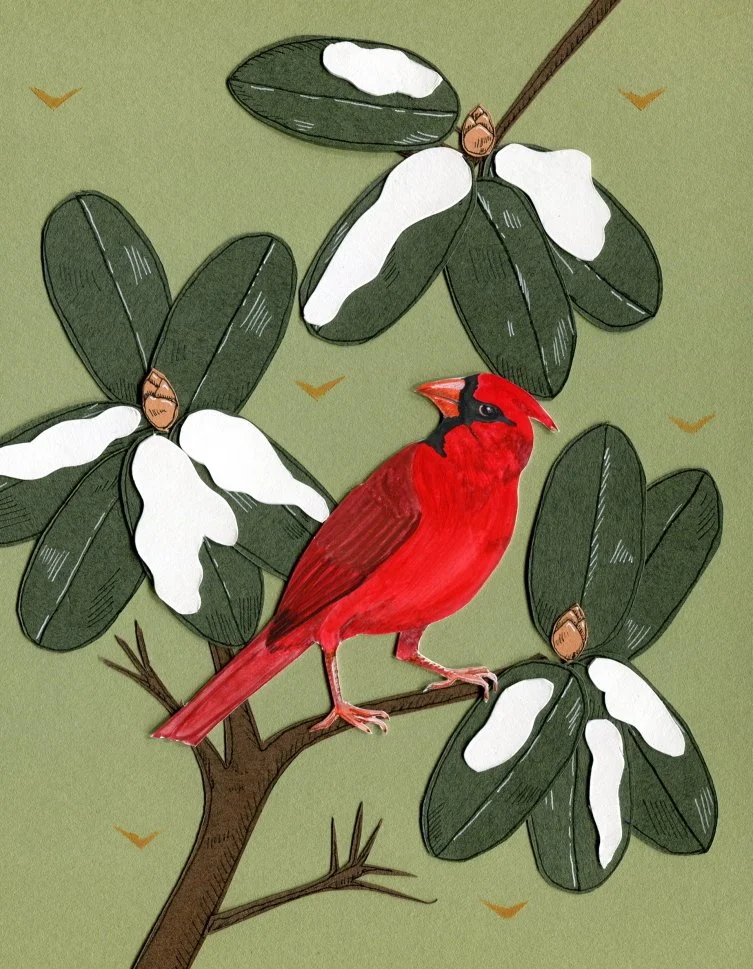 Cardinal Winter card front.jpg