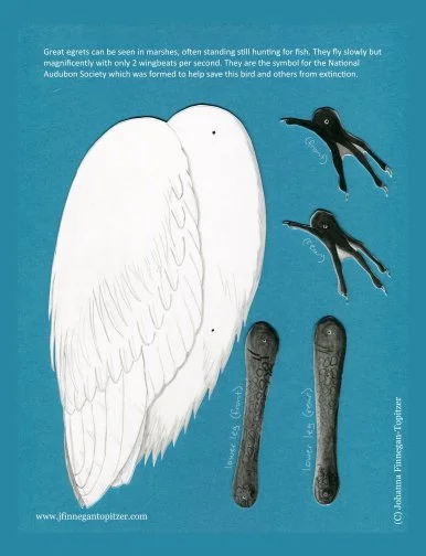Great Egret B sm.jpg