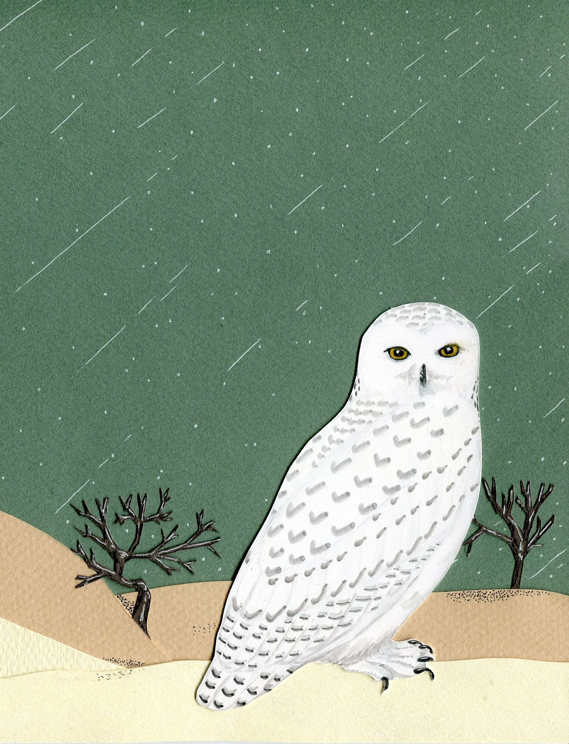 Snowy Season - Snowy Owl Greeting Card