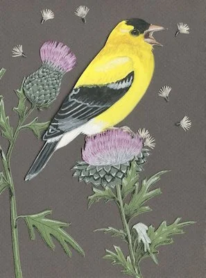 Goldfinch card front tn.jpg