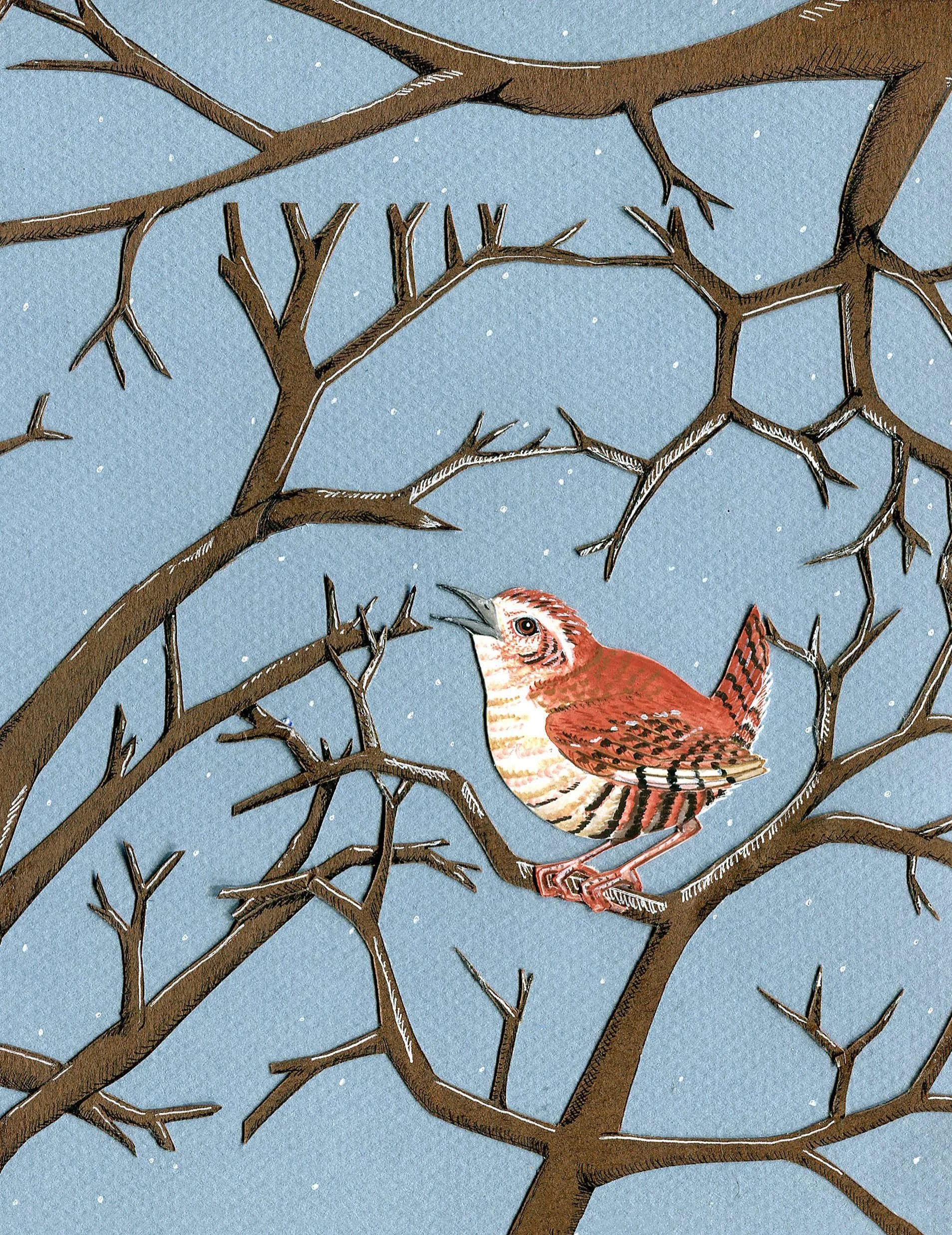 wren card