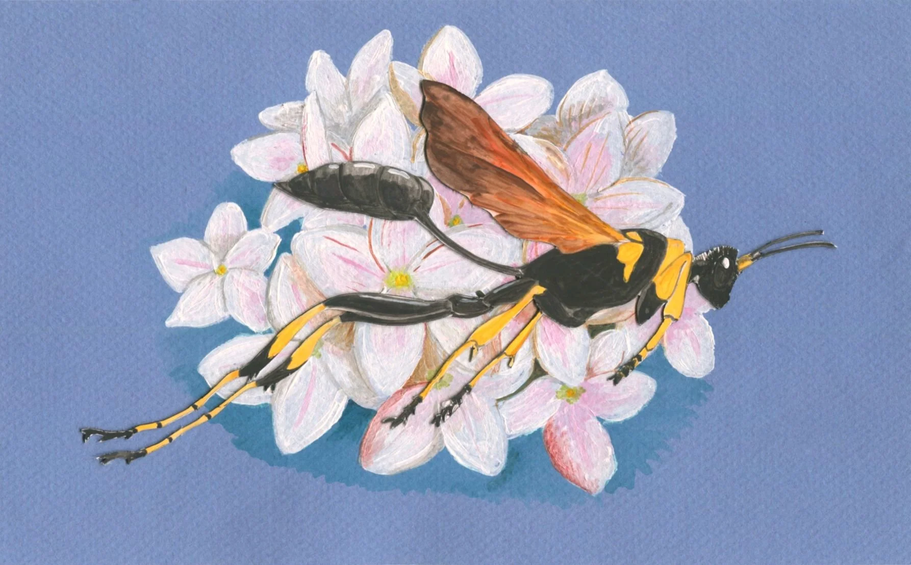 3 March sm.jpg