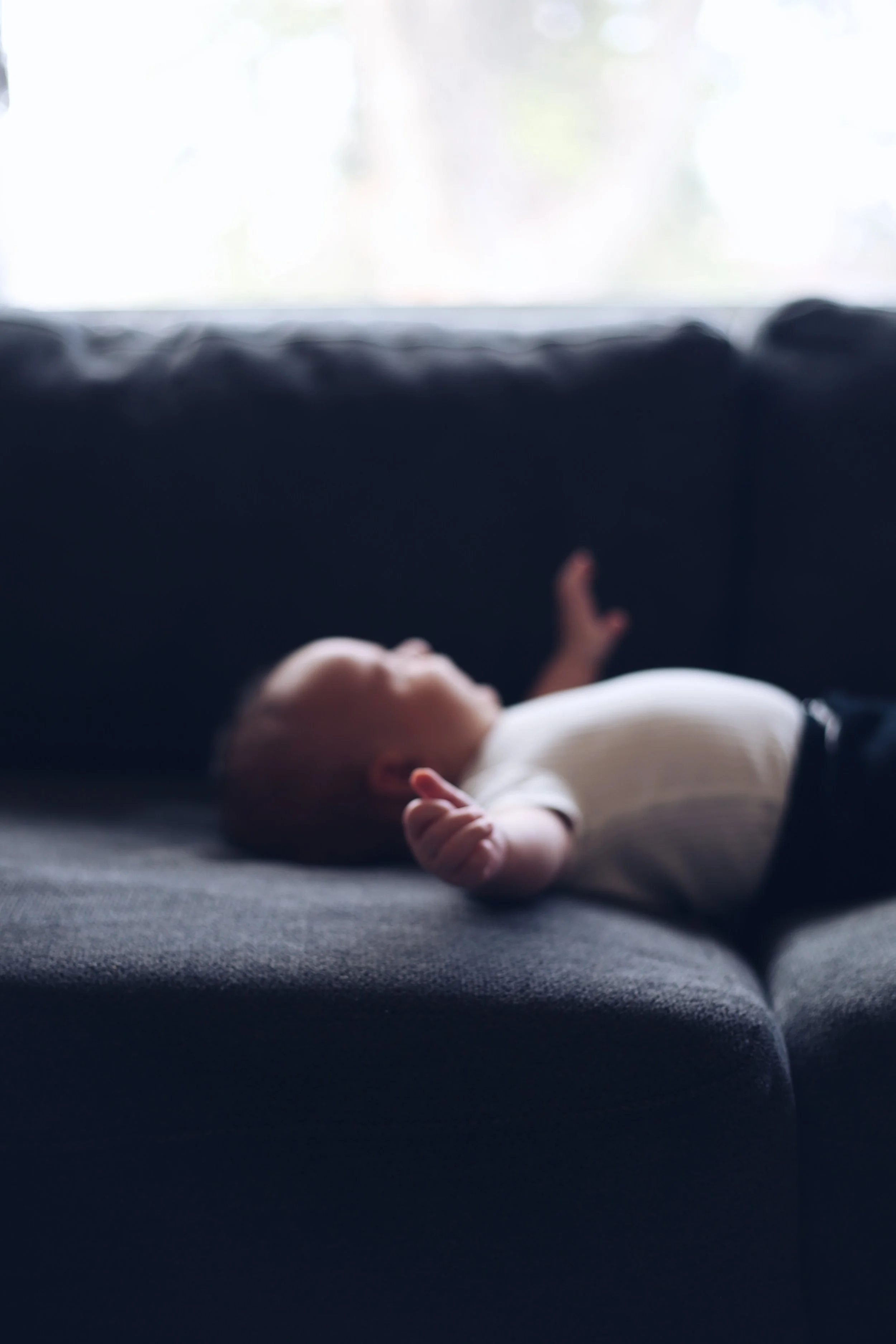 The Fourth Trimester