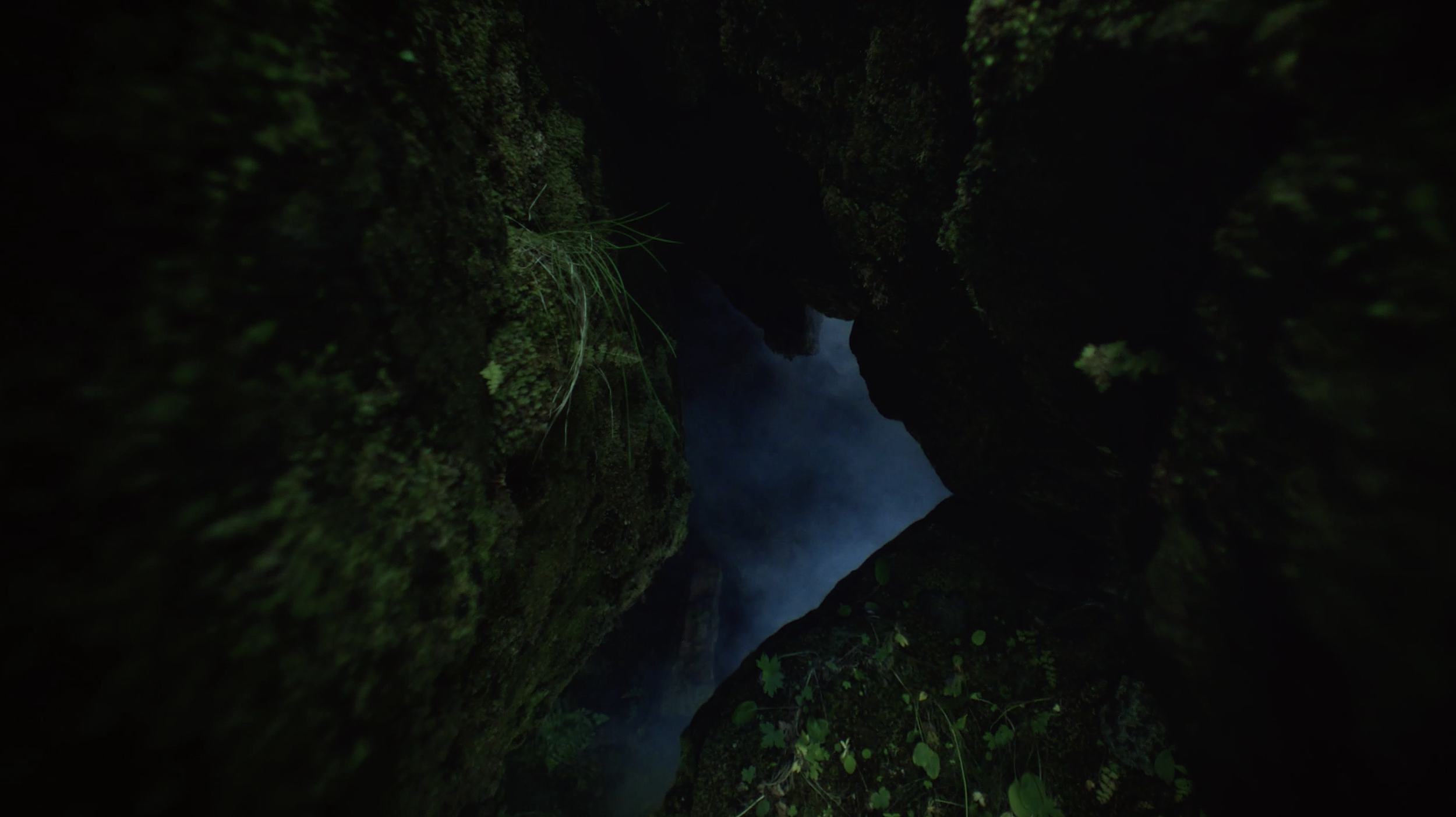 header-bg.png
