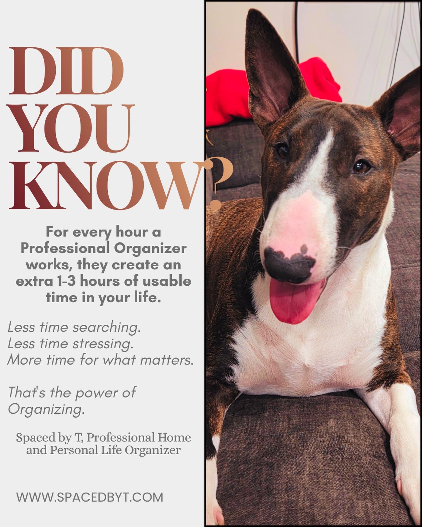 Did You Know? Every hour invested in professional organizing can save you up to 3 hours later.

@spaced_by_t_ currently booking July &amp; August projects. 

if you&rsquo;re truly looking for a transformation, not just in organization and declutterin