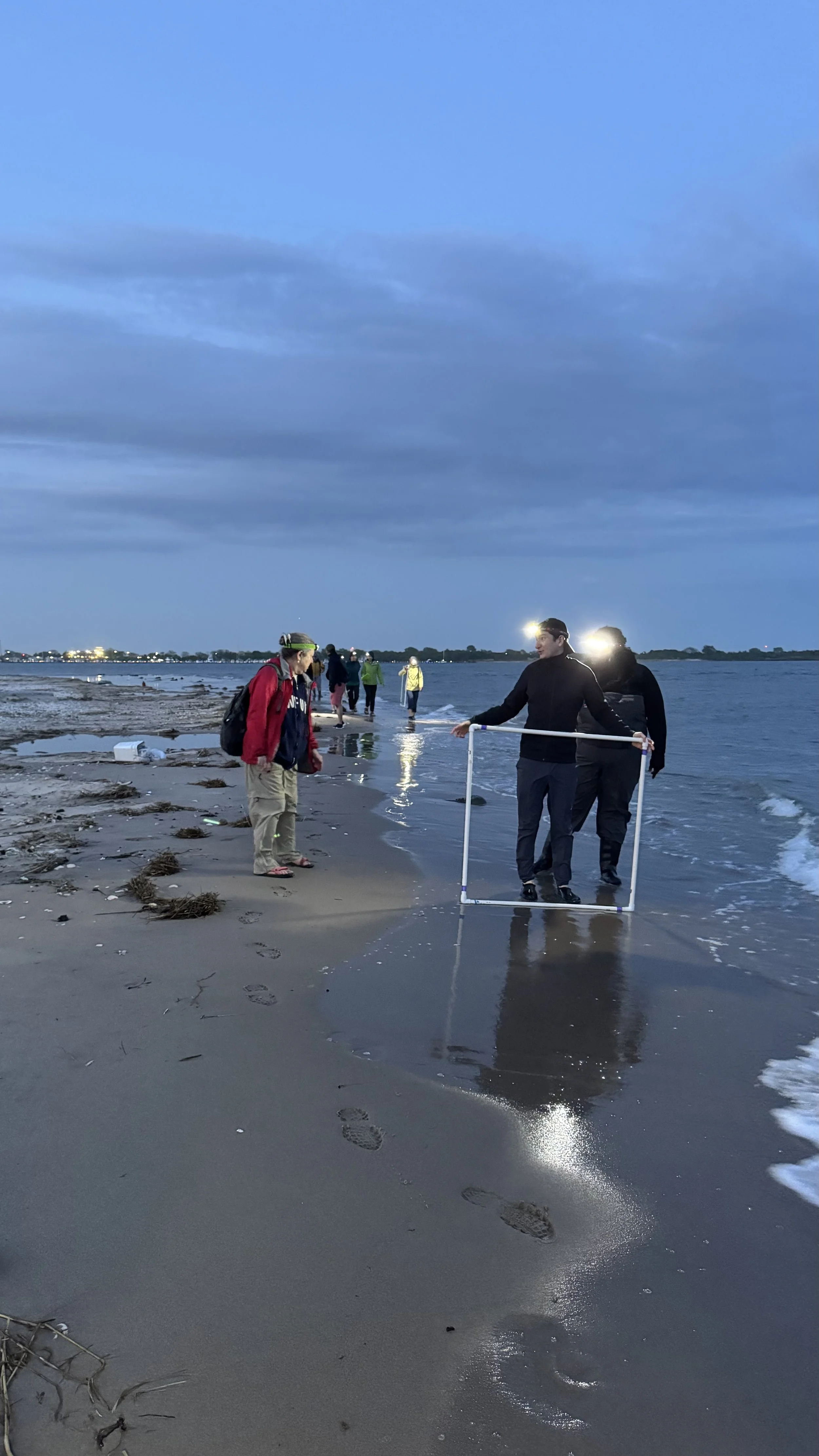 Photo by Angie Corthals at Plumb Beach East, 2026
