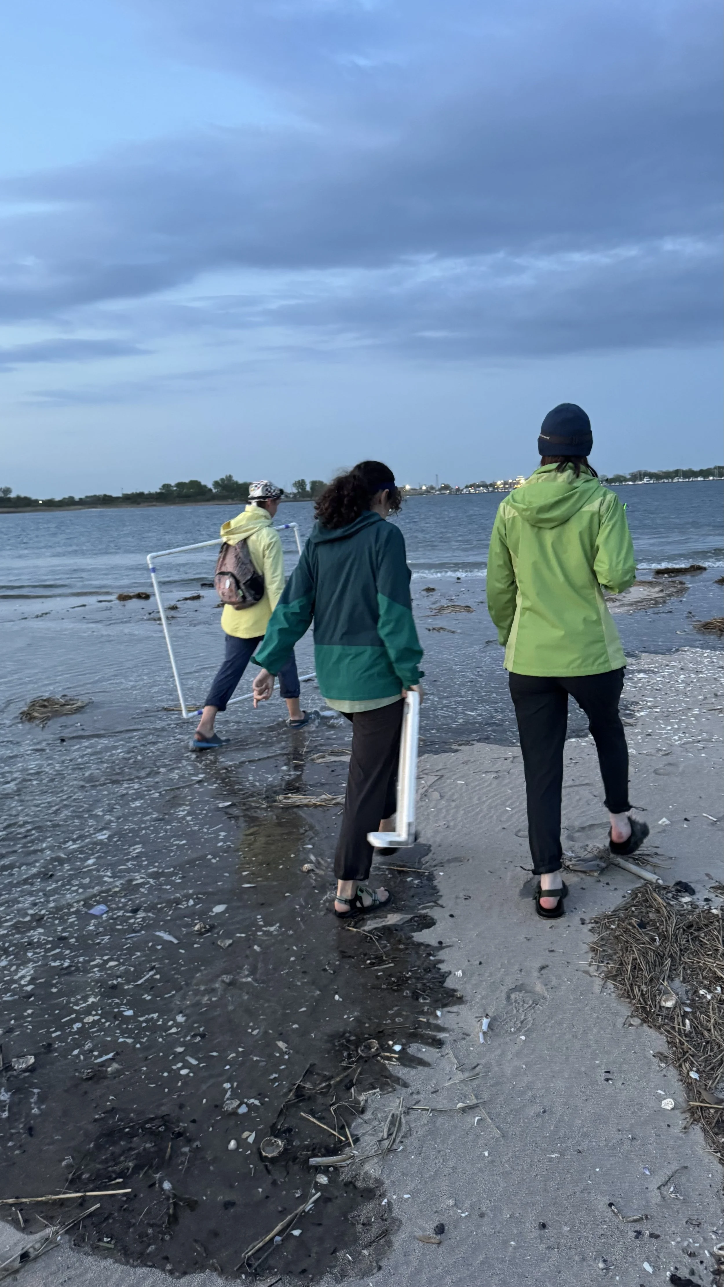 Photo by Angie Corthals at Plumb Beach East, 2026
