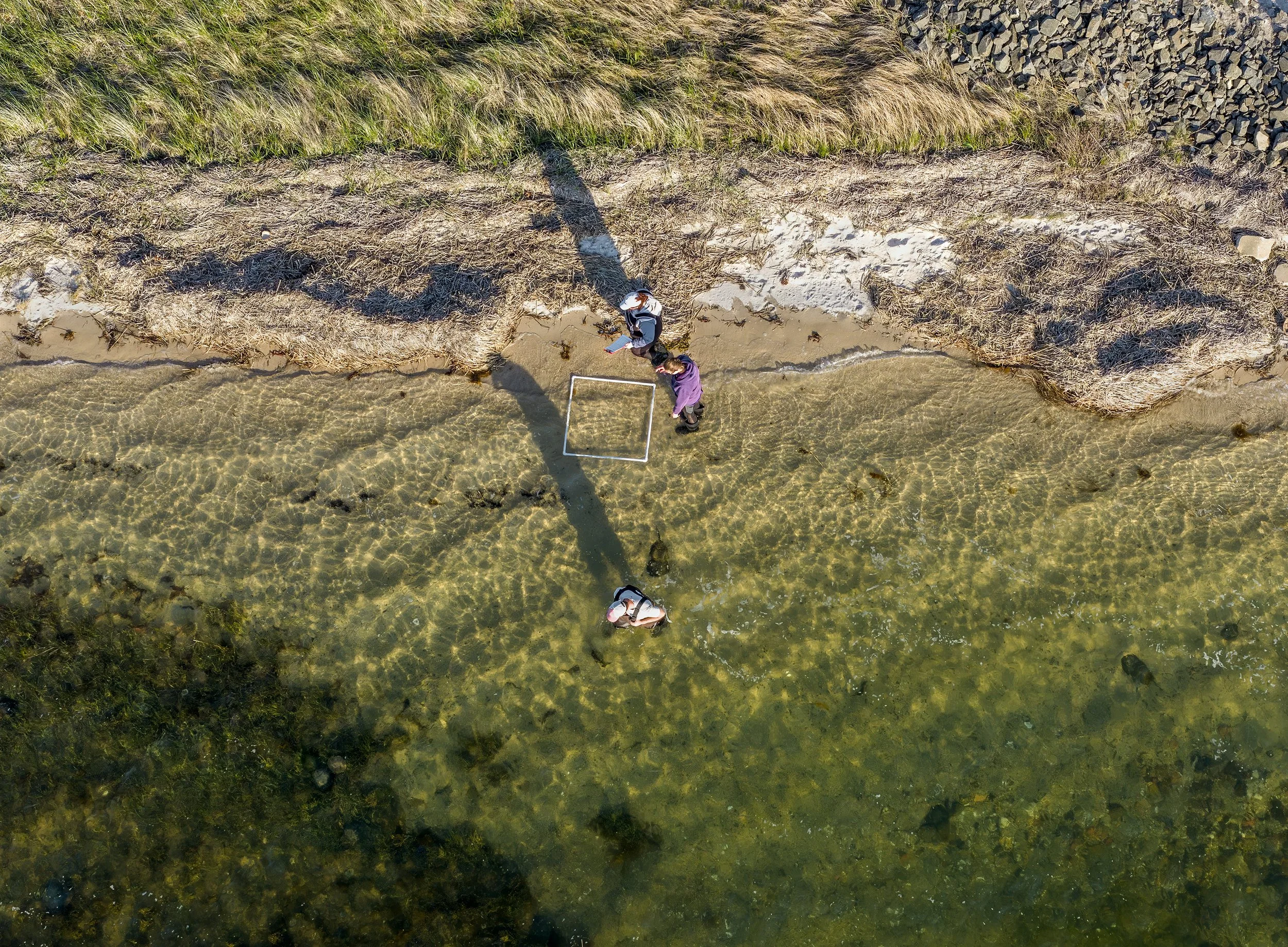 Photo by Anna Soccorsi, Gaia Aerial Imagery, Meadow Lane, 2026