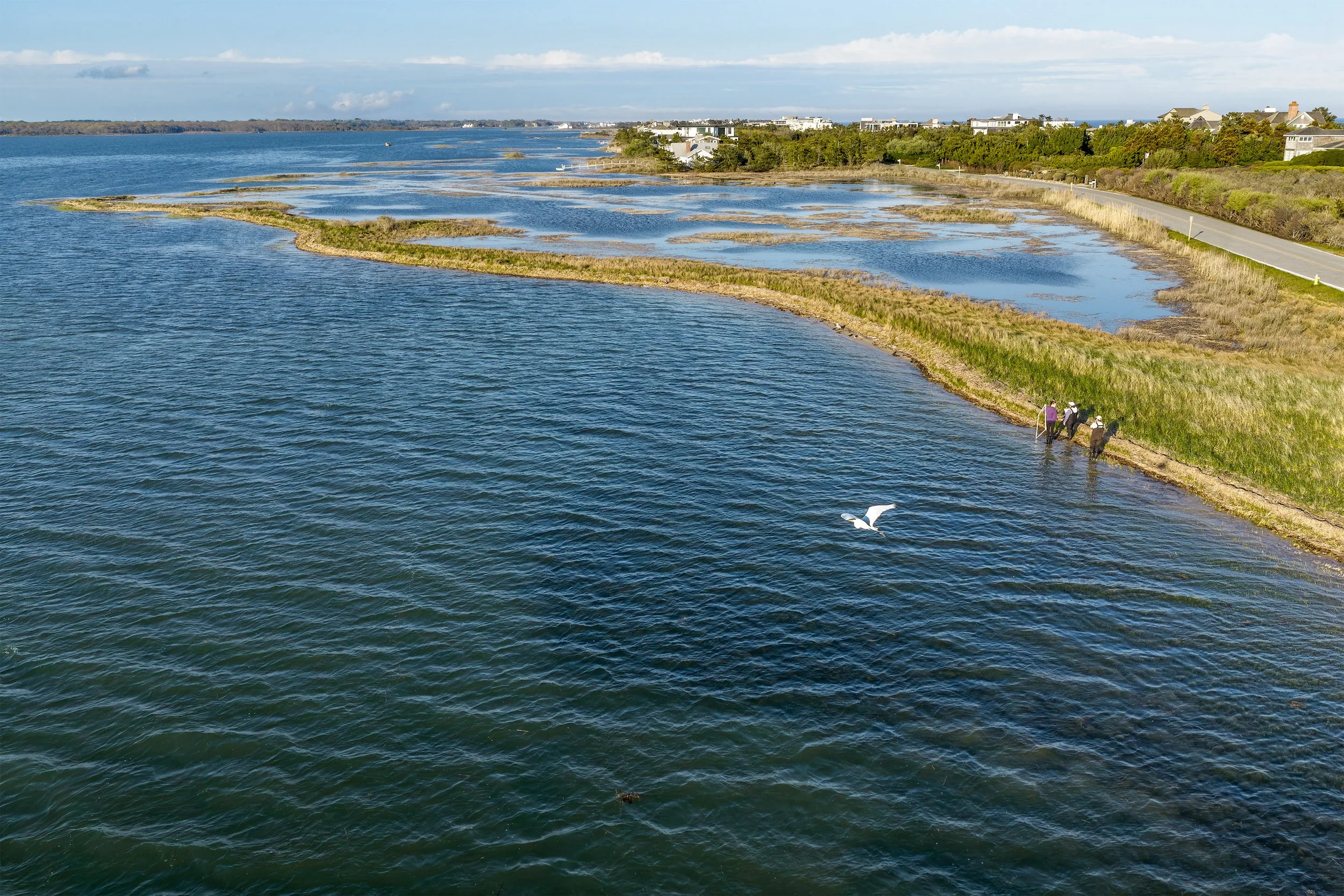 Photo by Anna Soccorsi, Gaia Aerial Imagery, Meadow Lane, 2026