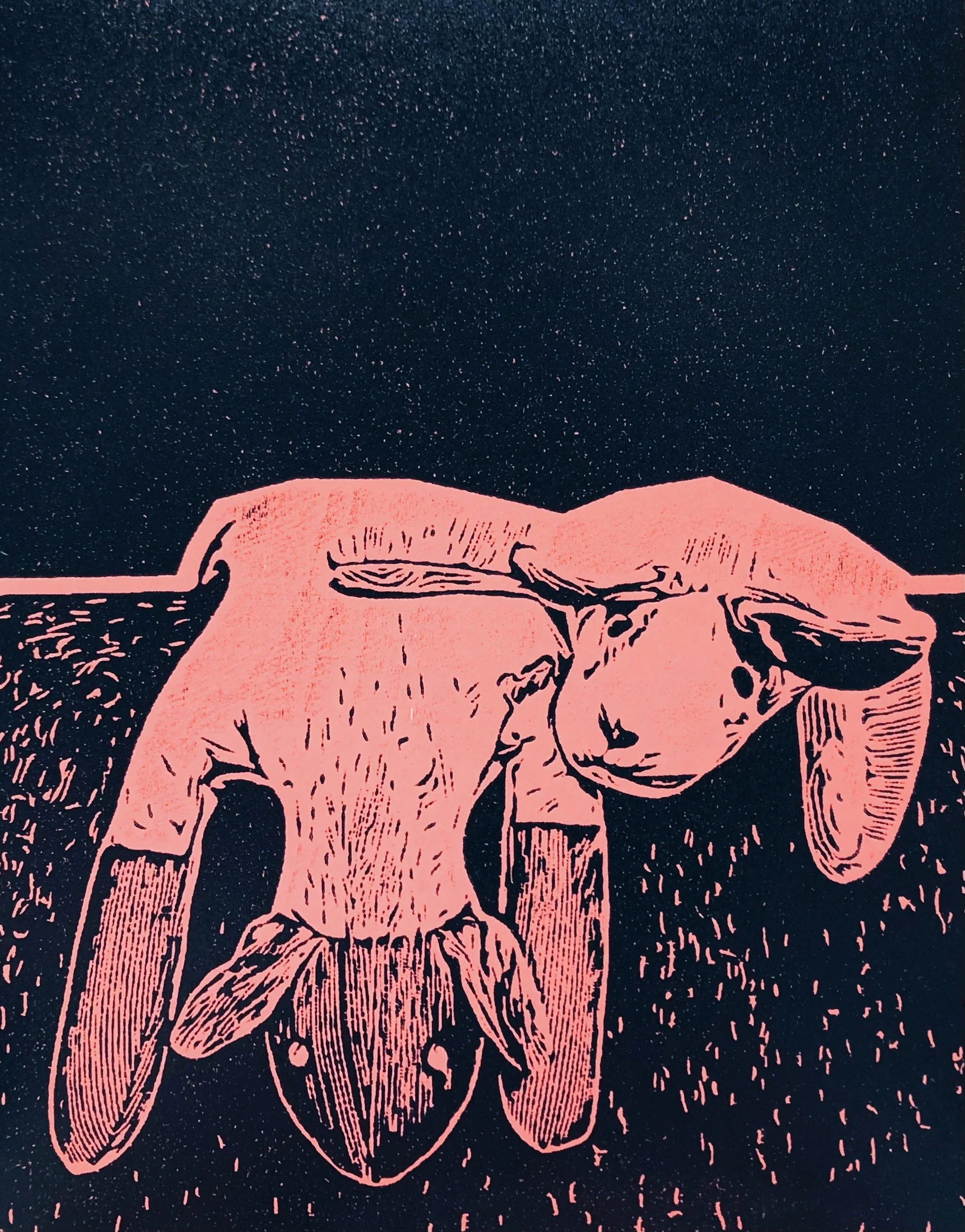 FullSizeRender_VSCO 4.JPG