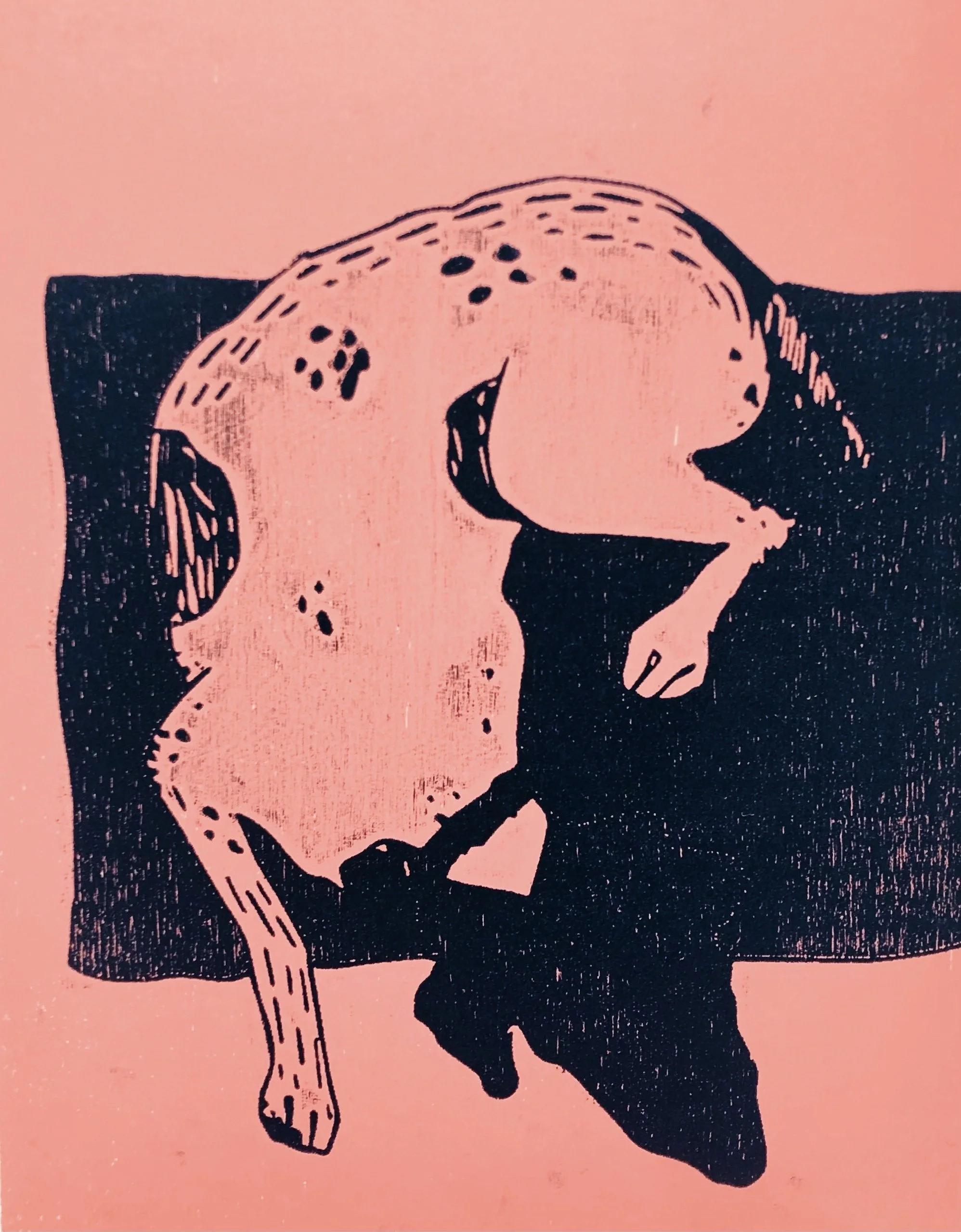 FullSizeRender_VSCO 5.jpg