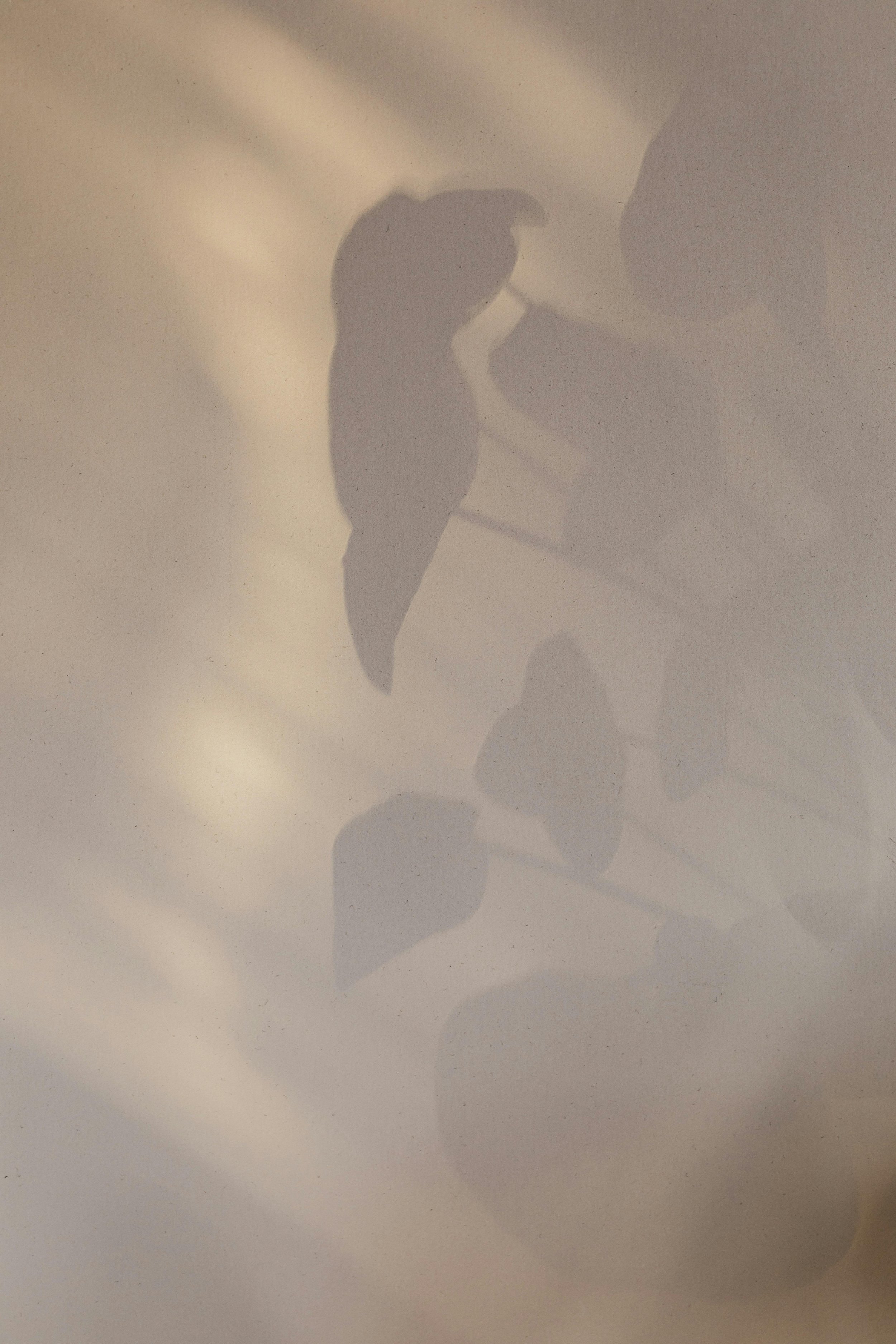 What Is EMDR Therapy? How It Works and Who It Can Help