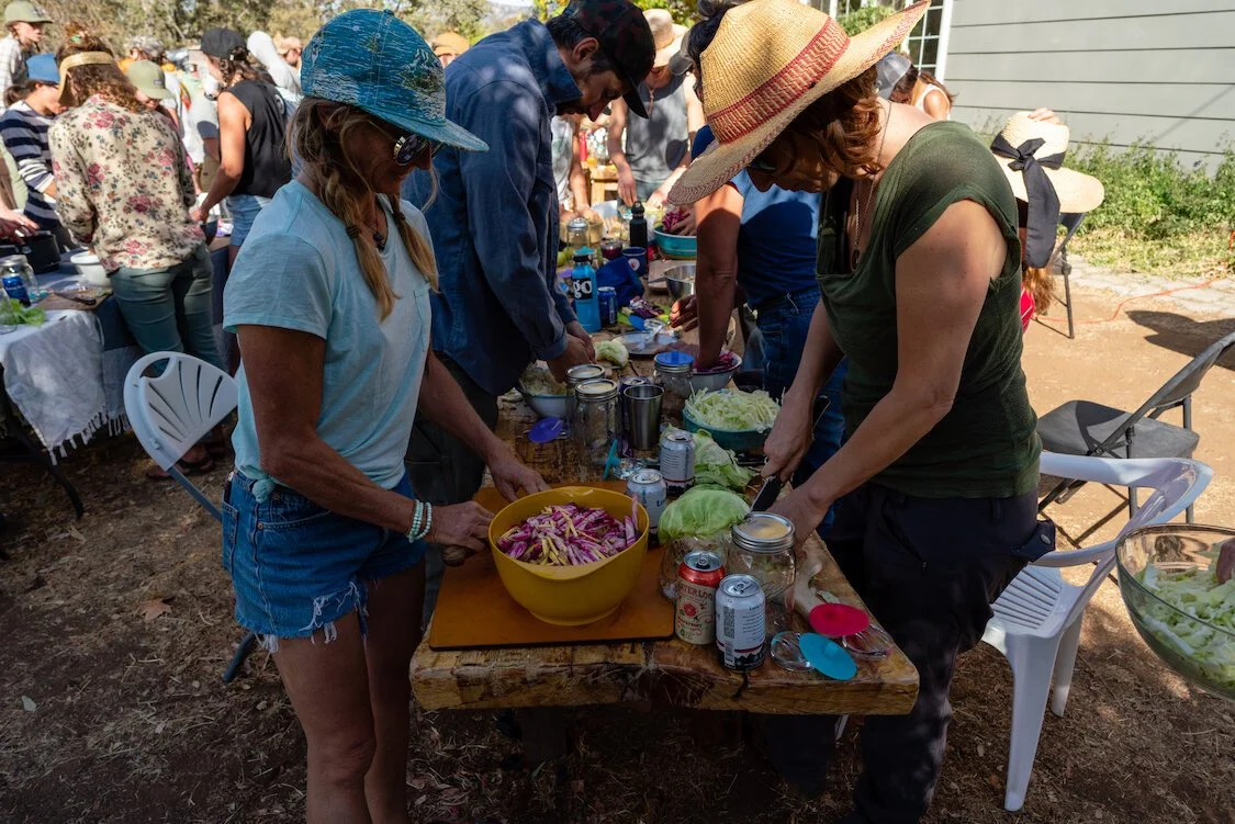 Fermentation Workshop