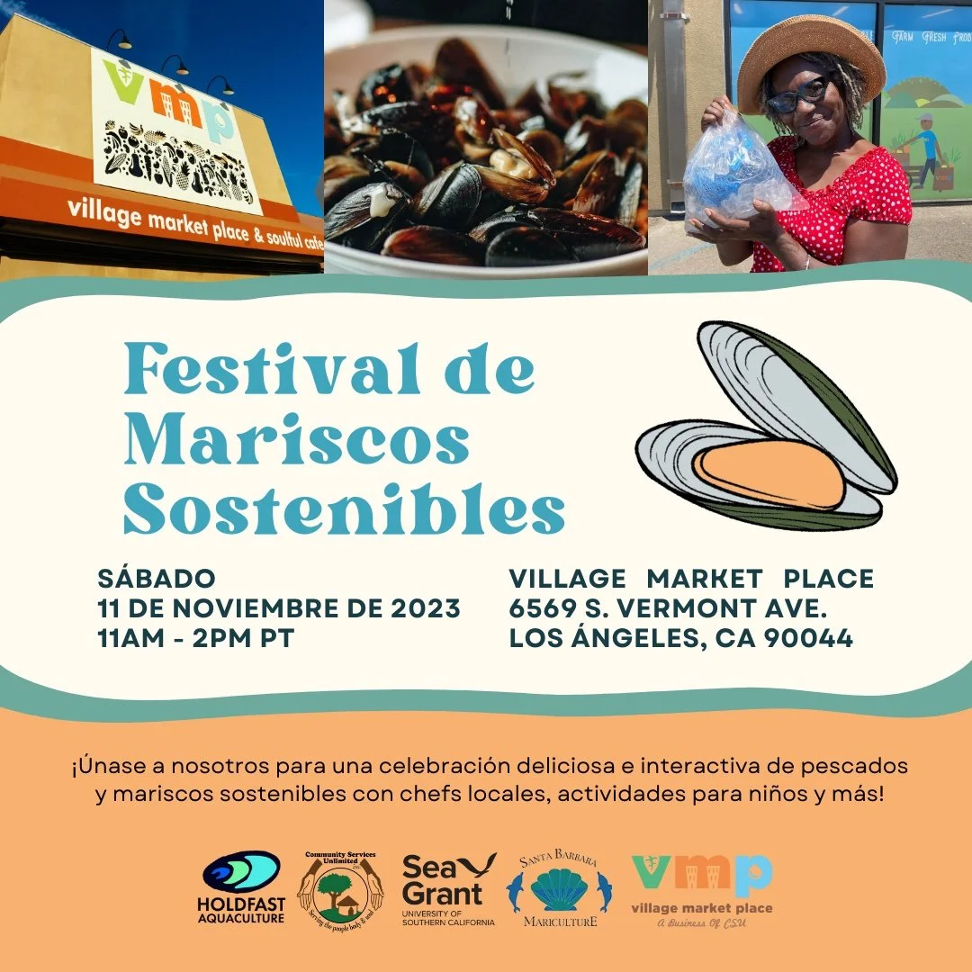 Nathan Spaninsh festival flier.jpg