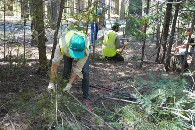 DSC01897 Medium.jpeg