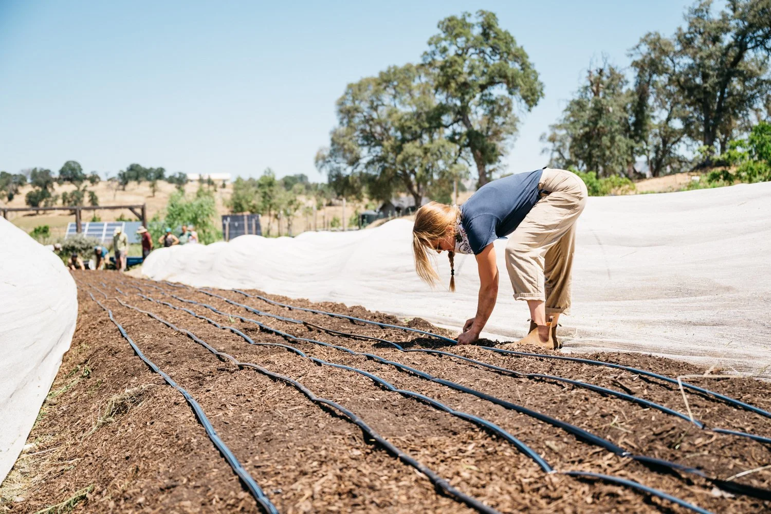 From Soil to Stone: How What We Eat Shapes the Places We Climb