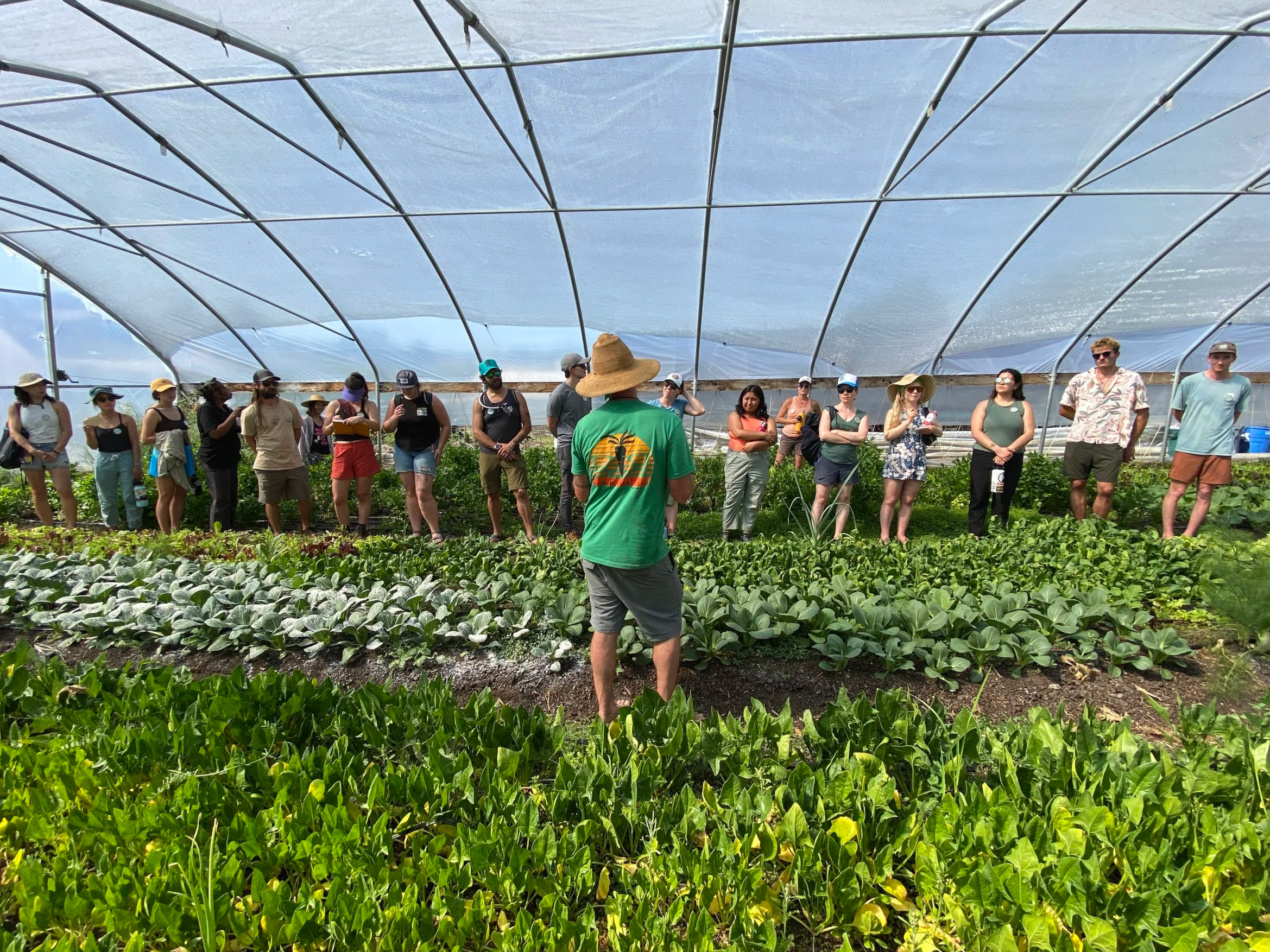 CSA Support Program — Farm To Crag