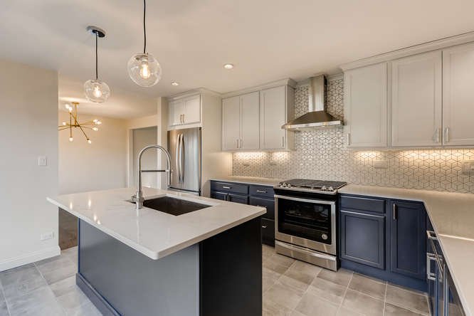 208 Noyes Arlington Heights IL-small-006-009-Kitchen-666x444-72dpi (1).JPG