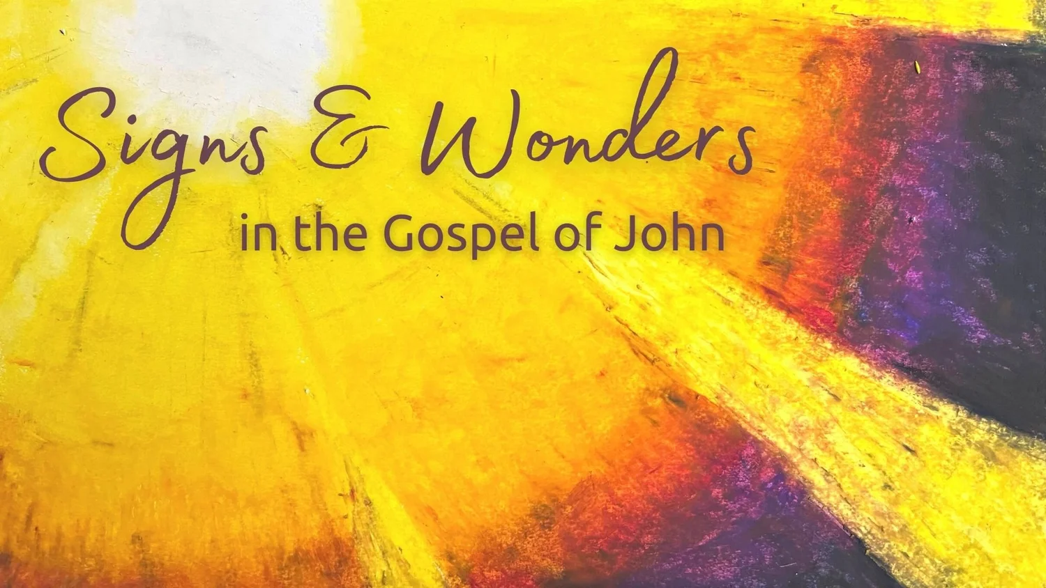 Down the Rabbit Hole (John 6:53-68) episode artwork