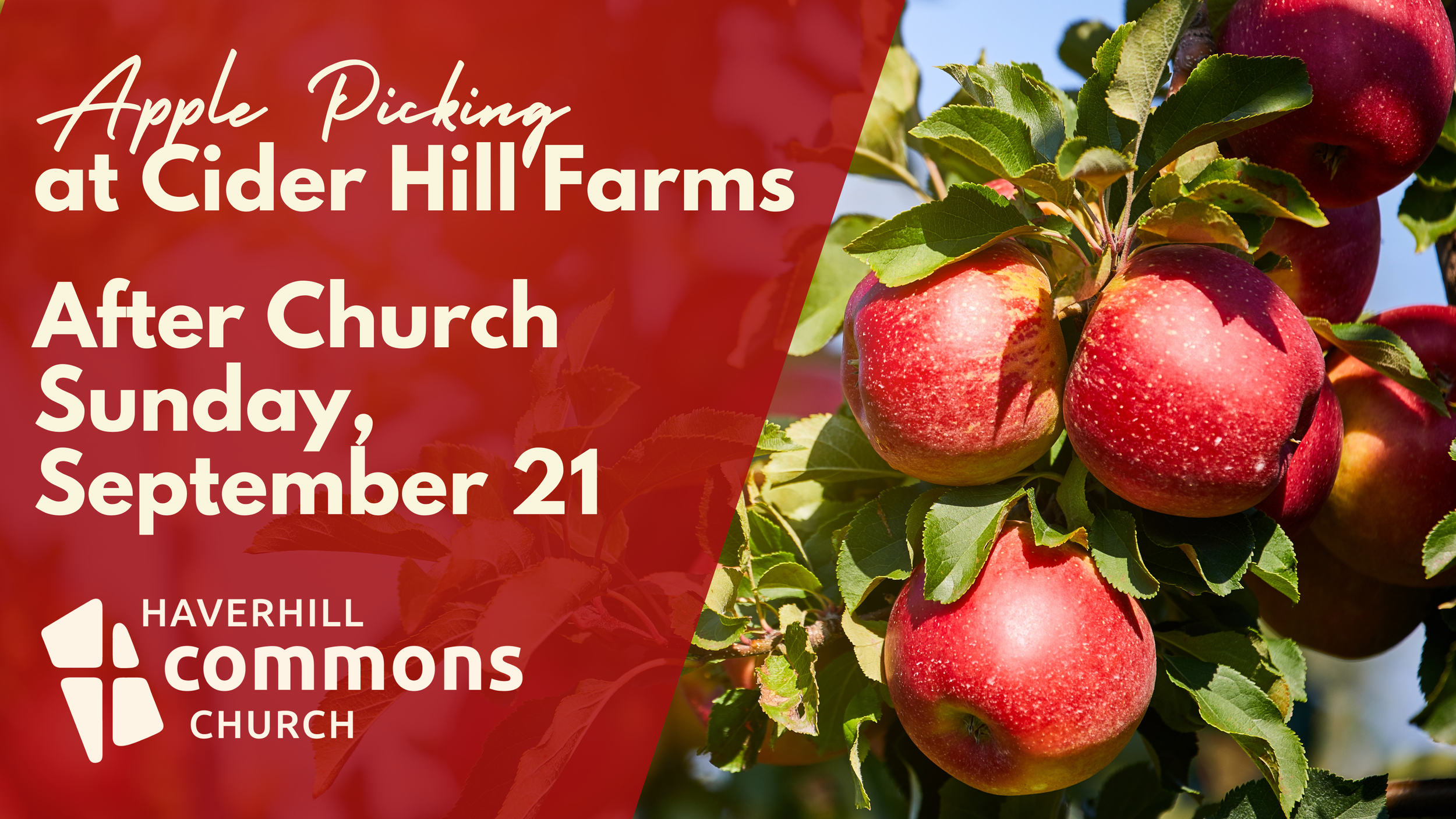 Fall Fun: Apple Picking at Cider Hill Farm
