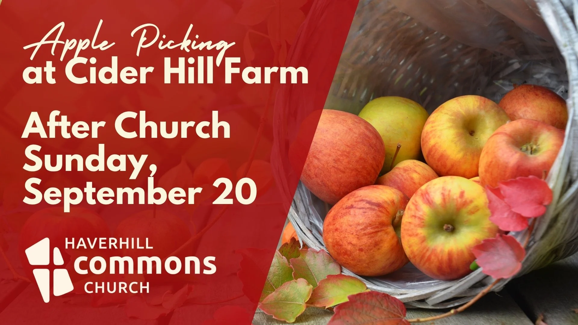 Fall Fun: Apple Picking at Cider Hill Farm