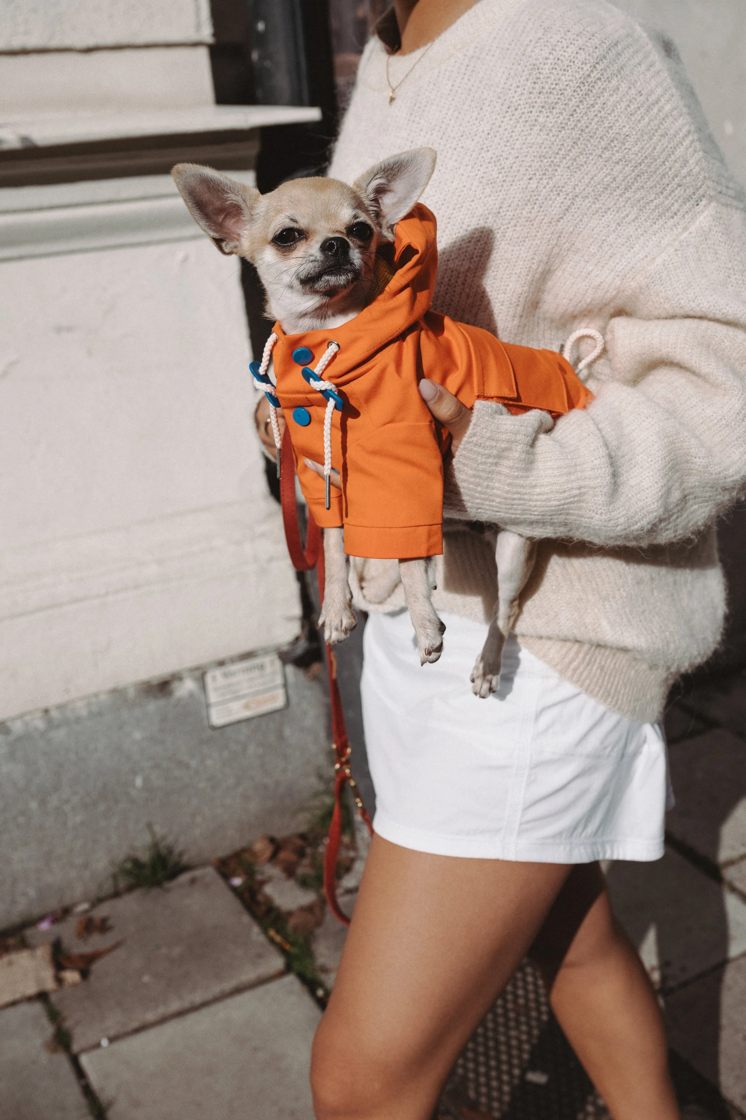 Person holding a small dog wearing a Lika orange jacket  - Commercial photography in Stockholm by Film8