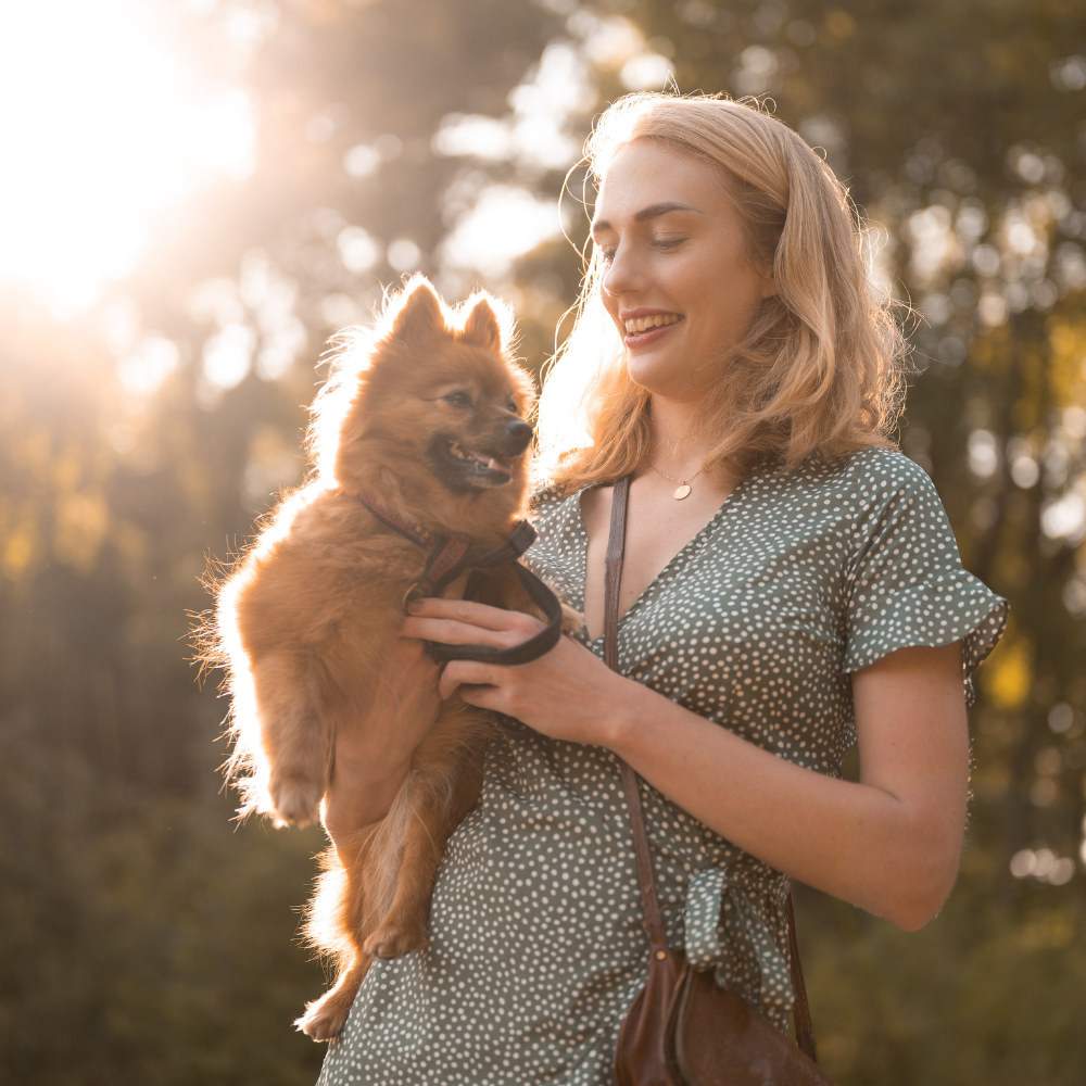 Woman holding her dog during an outdoor pet photography session