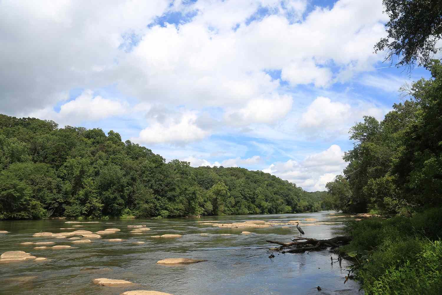 TAL-header-chattahoochee-river-sandy-springs-georgia-GAWOODLND0824-ed46865bbbd042259125a4b3ac36ac1f.jpg