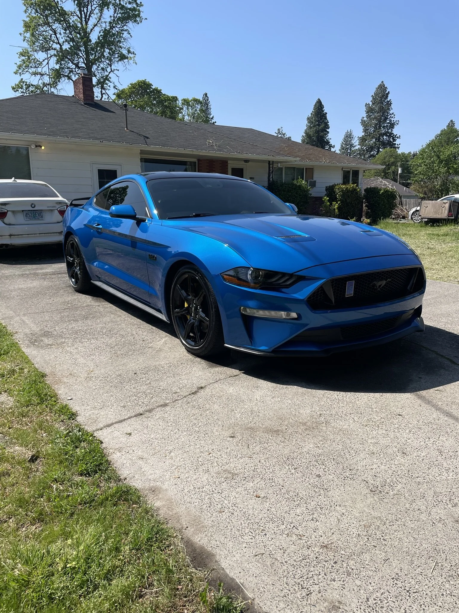 A blue Ford Mustang parked on a driveway in front of a house. The car has tinted windows and black wheels, with a black grille and front bumper. The house behind has a white exterior, a dark-colored roof, and a yard with some bushes and trees.
