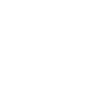 The Policy Project