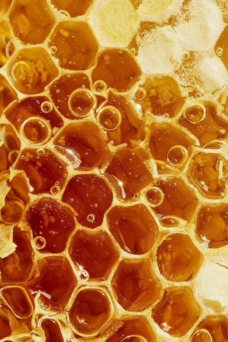 Honeysuckle and Ginger Honey