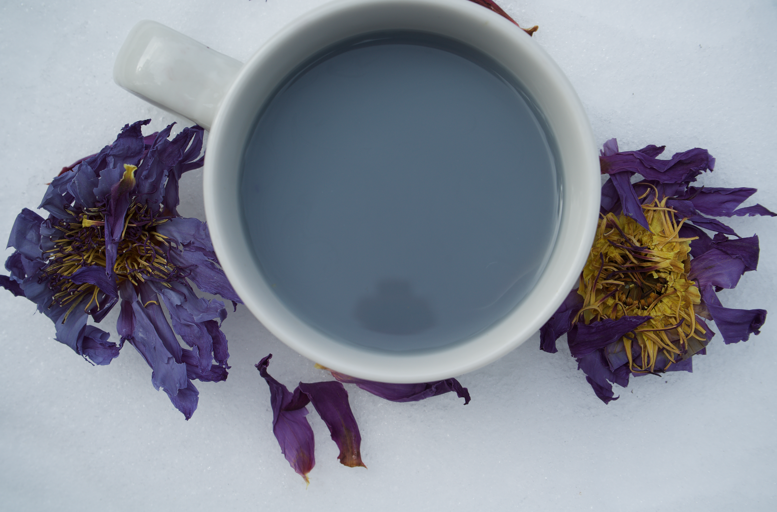 Blue Lotus Chai