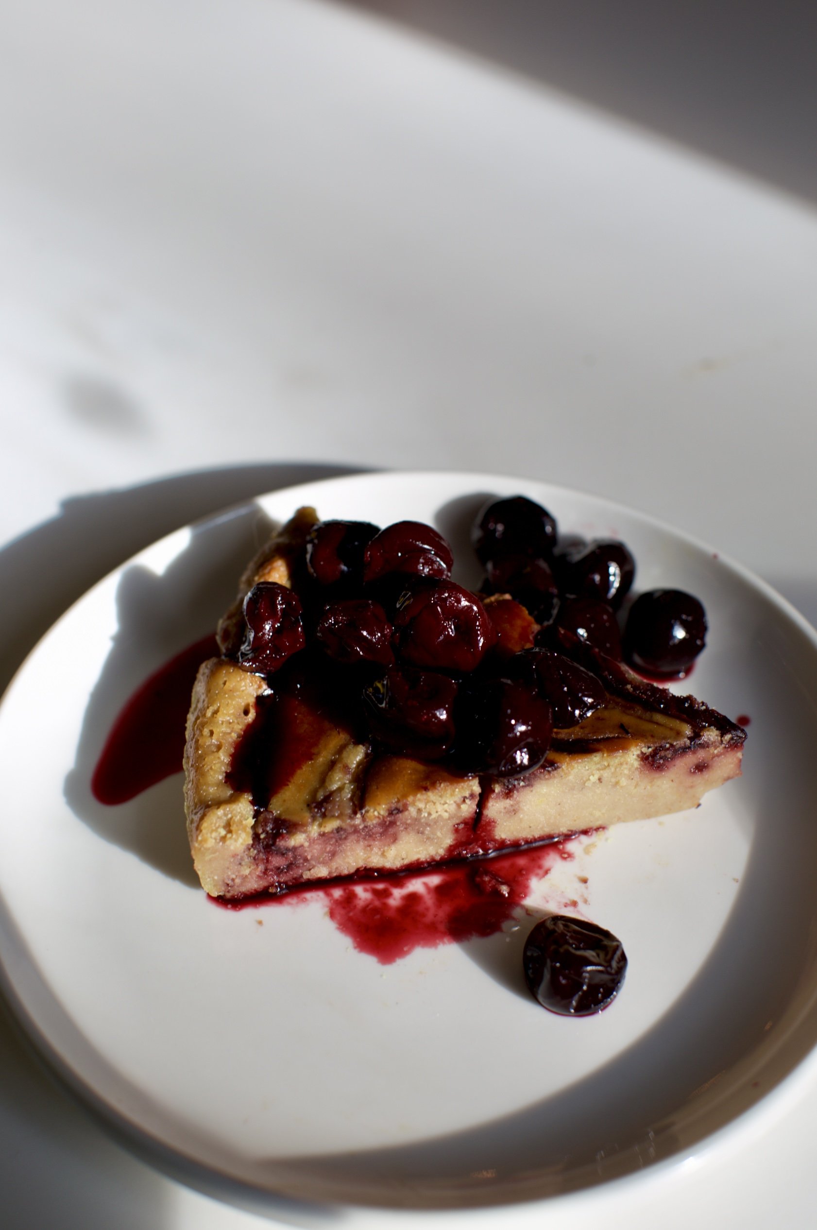 Adaptogenic Mushroom and Cacao Cheesecake