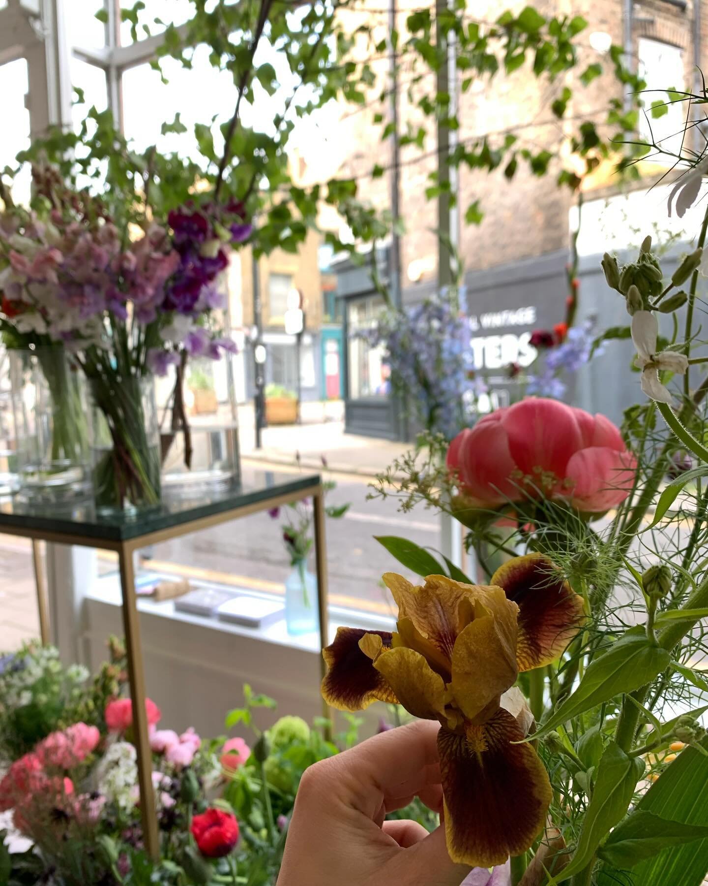 Londonaaaaas, Yuki will be in town for two weeks to serve the blooms !!!!! so delighted to be joining the pop-up with Alisa @untitledflowers and Tomoko @teto_studio on 26th April + 27th April. VERY Looking forward to seeing old familiar faces and new