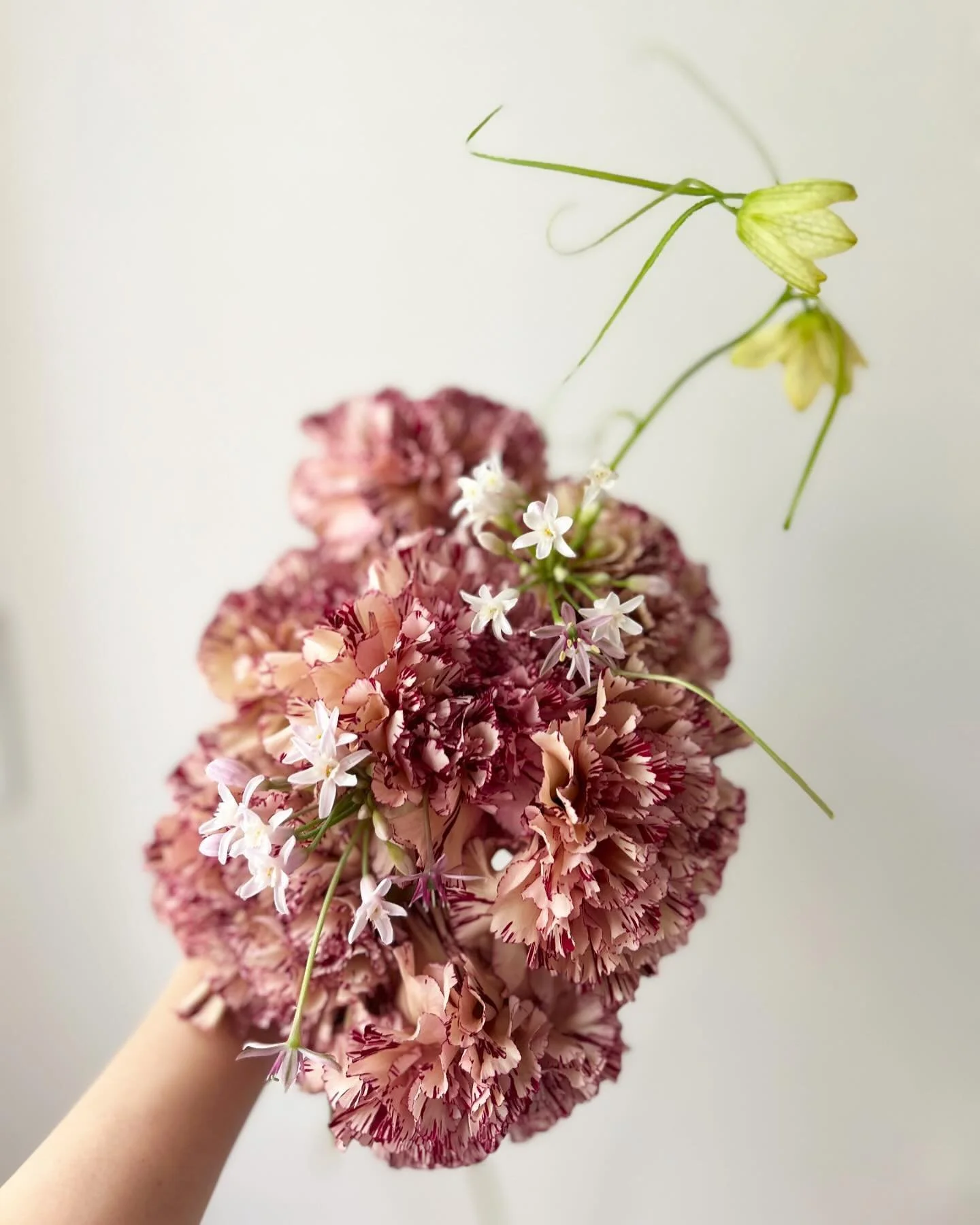 Bad hair day 🐍

Mother&rsquo;s Day order is available now ! Check in bio to order some blooms :)))) 
母の日オーダー受付中

#mothersday #mothersdaygift #flowers #florist #weddingflowers #floralstudio #floralstyling #setdesign #floralset #flowerbouquet #flowera