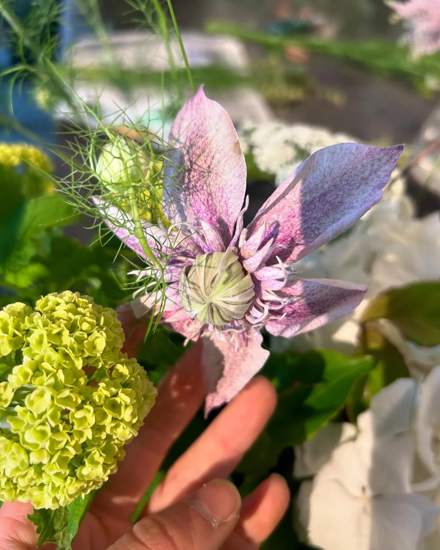 Floral obsession never ends. This Japanese clematis is called &ldquo;Minamo no yousei&rdquo; literally meaning of fairy floating on the water&hellip;. 🥺🫶

ヨーロッパのお花も素敵だったけど、日本の生産者さんが作るお花、クオリティも色合いも格段に素敵だなとため息&hellip;イギリスのお花はほぼオランダからの輸入だったので、自国でお花を作れ