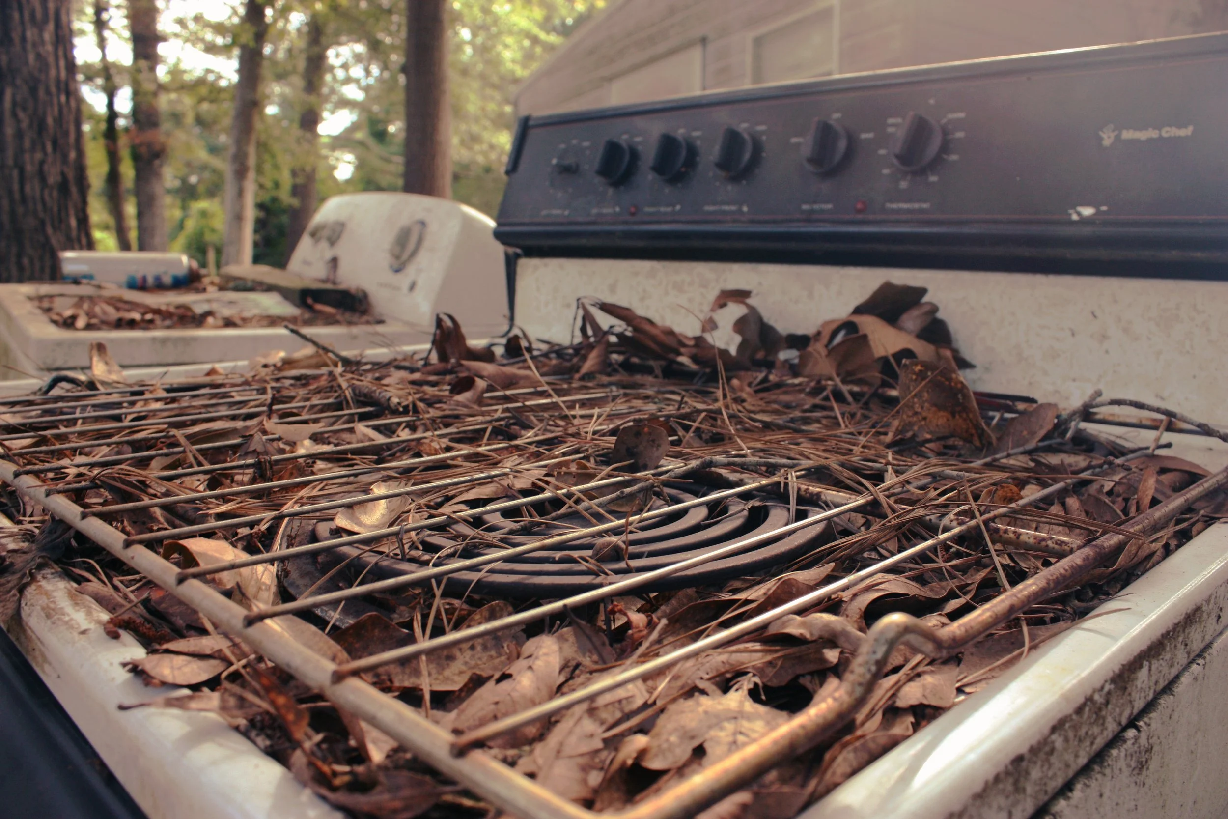Stove & Leaves Detail.
2020