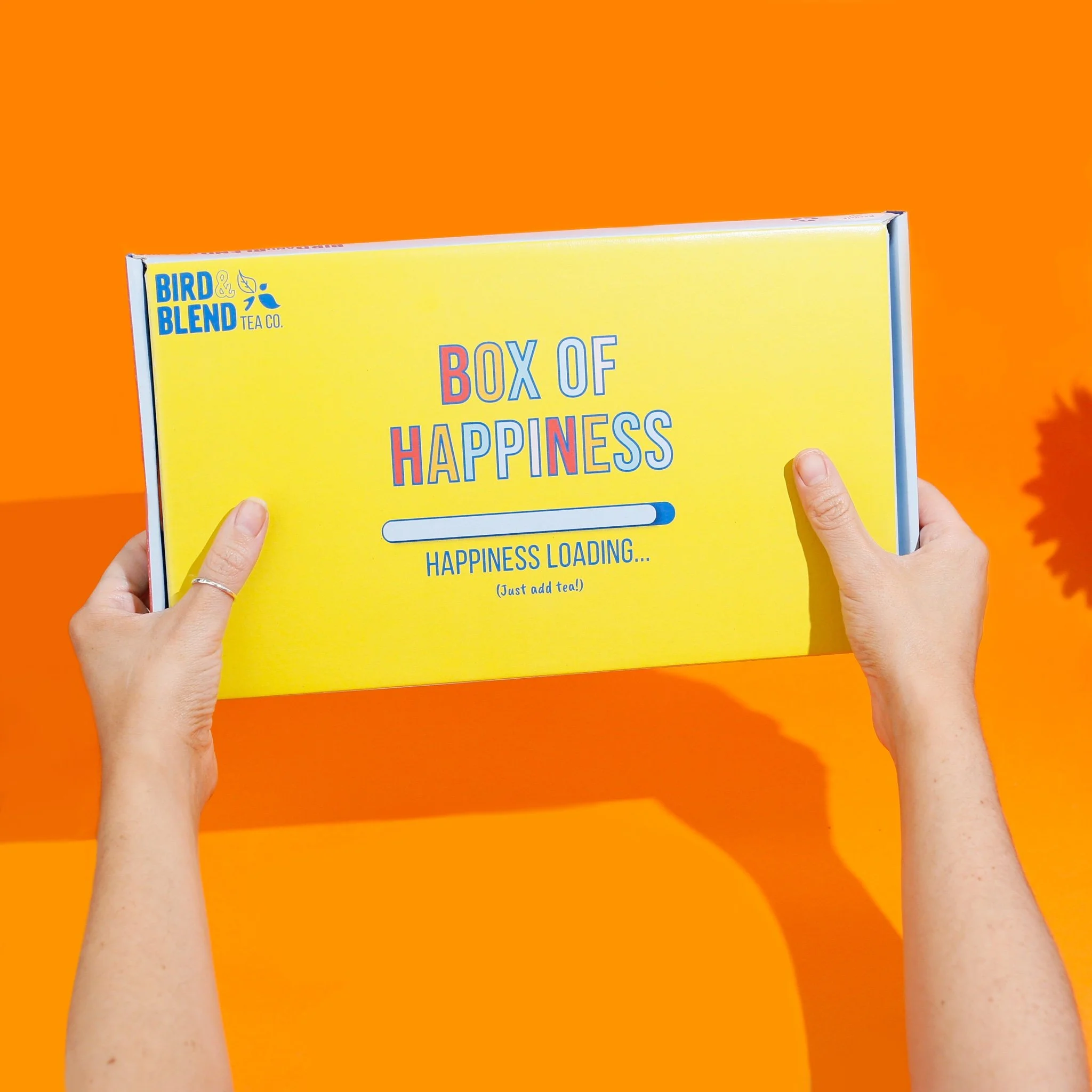 Happiness hands holding .jpg