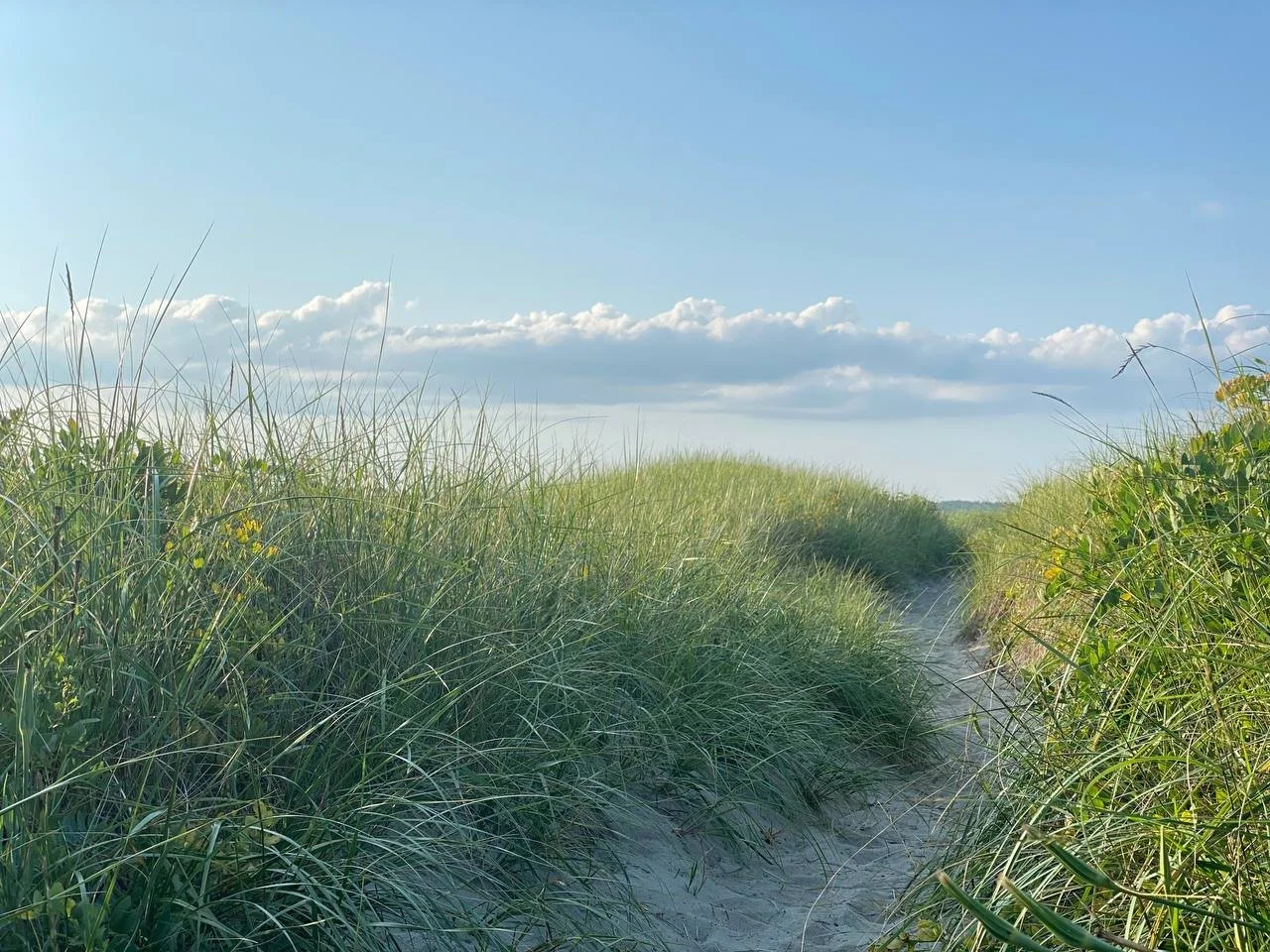 Clamping on HERMIT ISLAND: A Hidden Gem