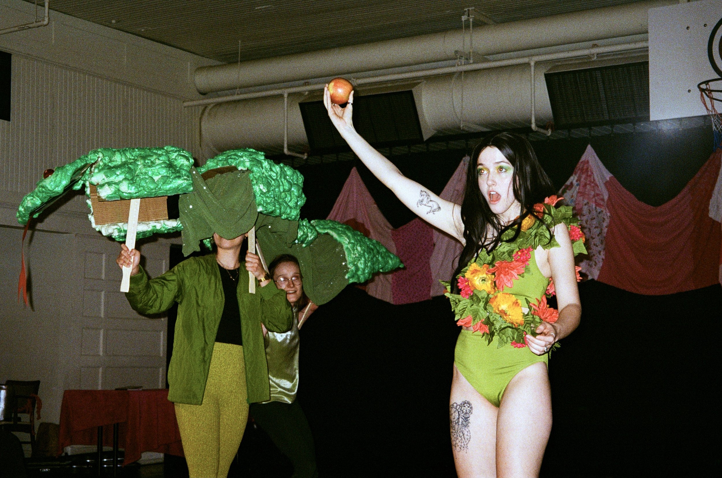 000095520019.jpg